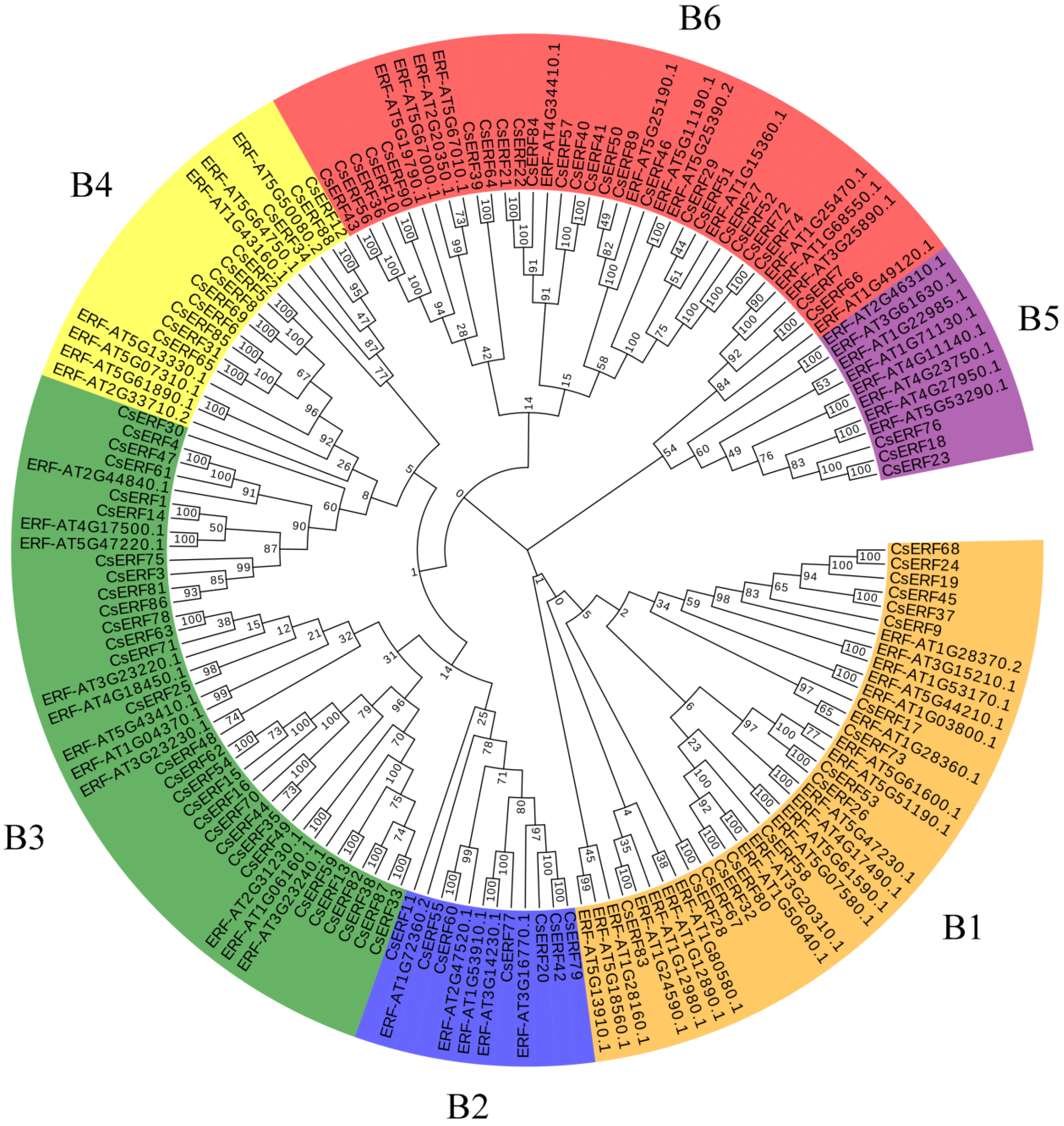 Agronomy 13 01900 g003