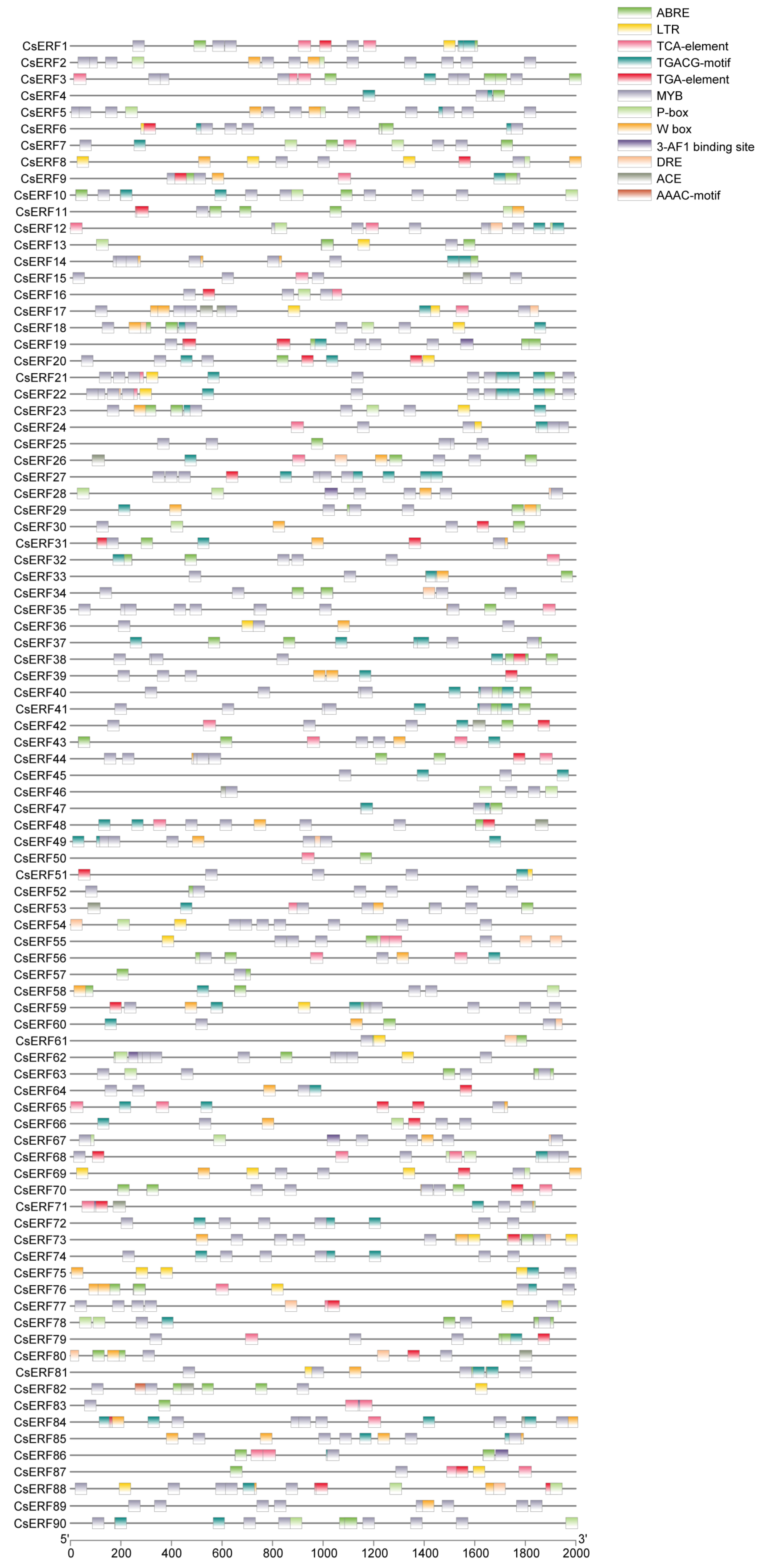 Agronomy 13 01900 g006