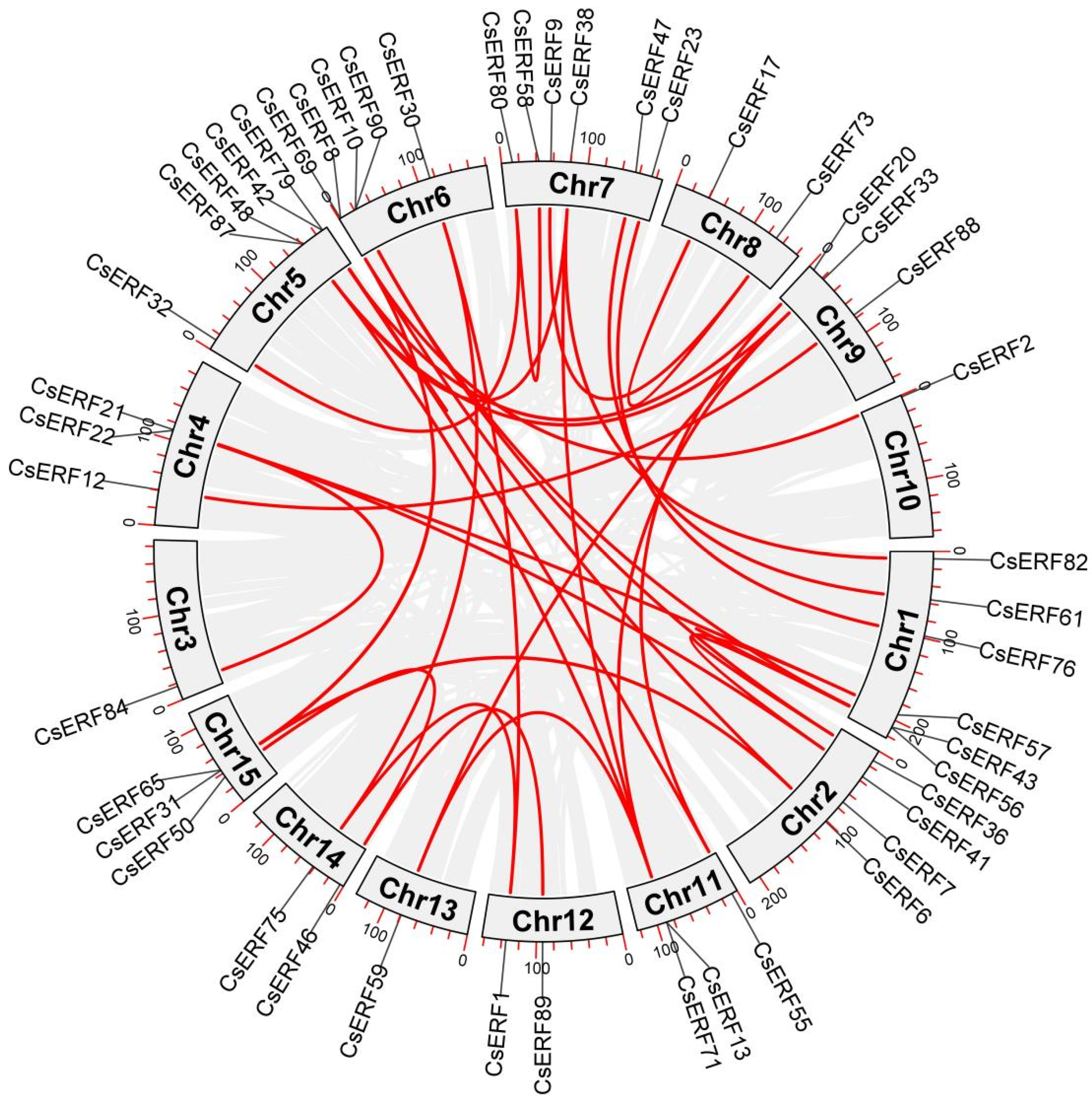 Agronomy 13 01900 g007