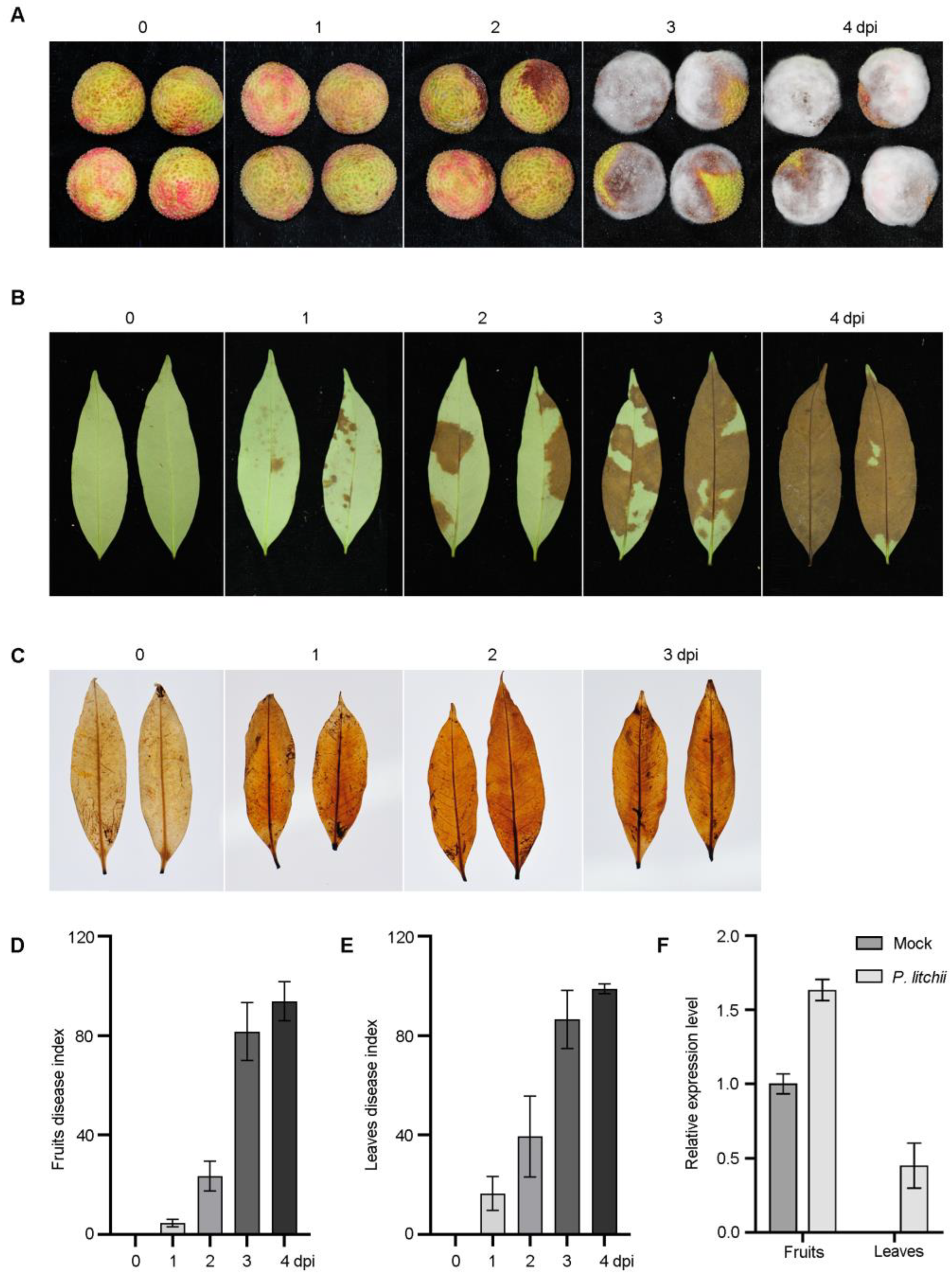 Agronomy 13 01904 g001