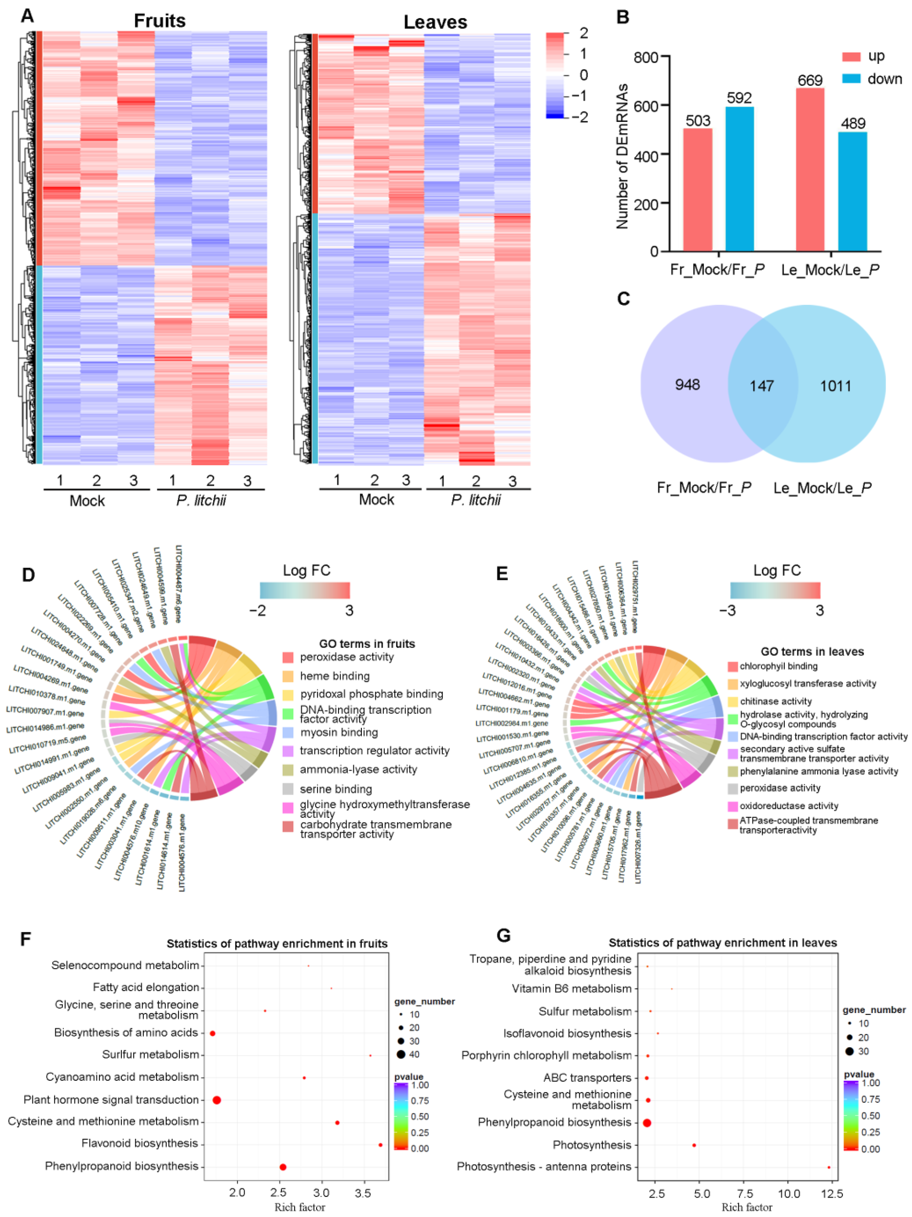 Agronomy 13 01904 g002