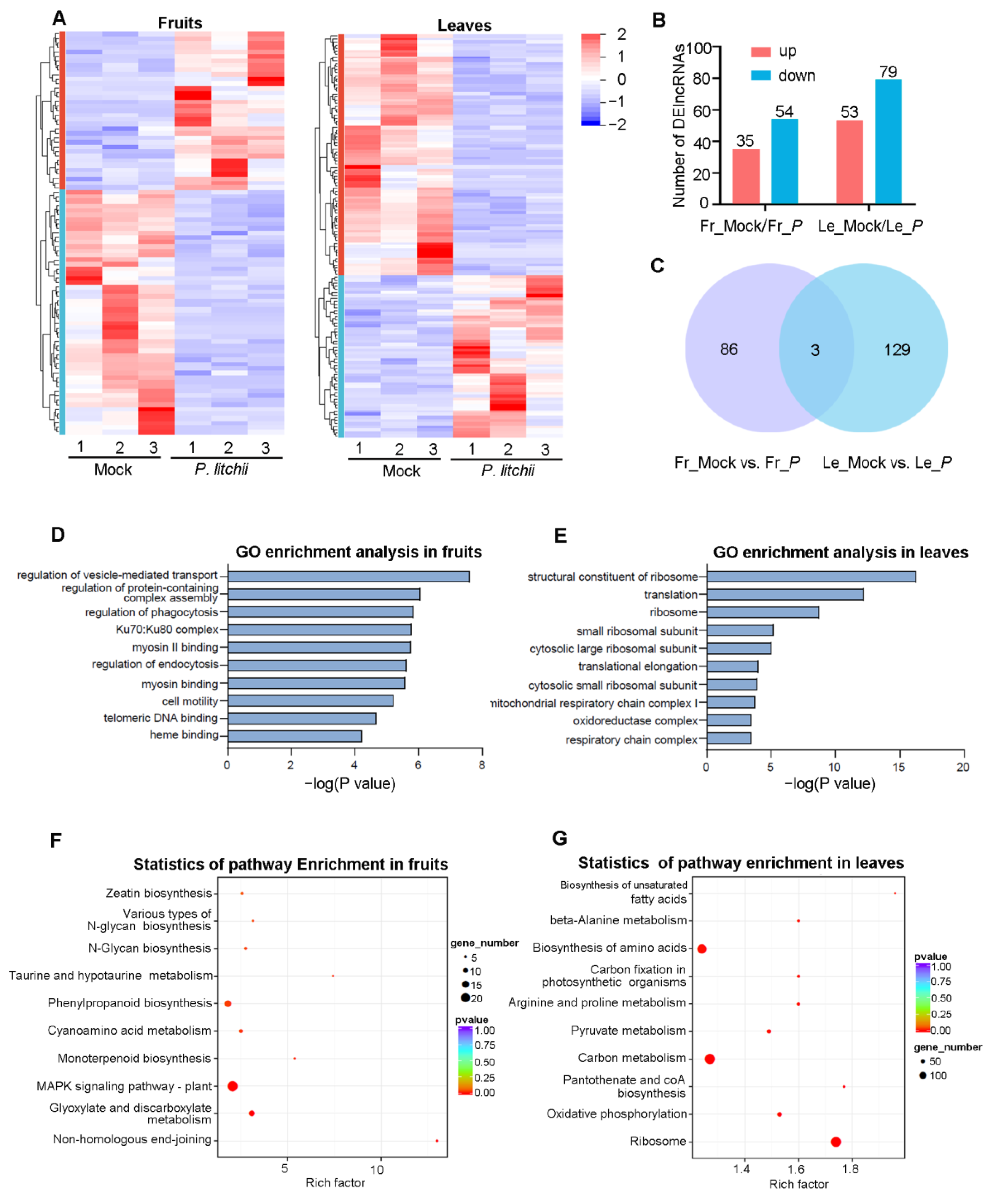 Agronomy 13 01904 g003