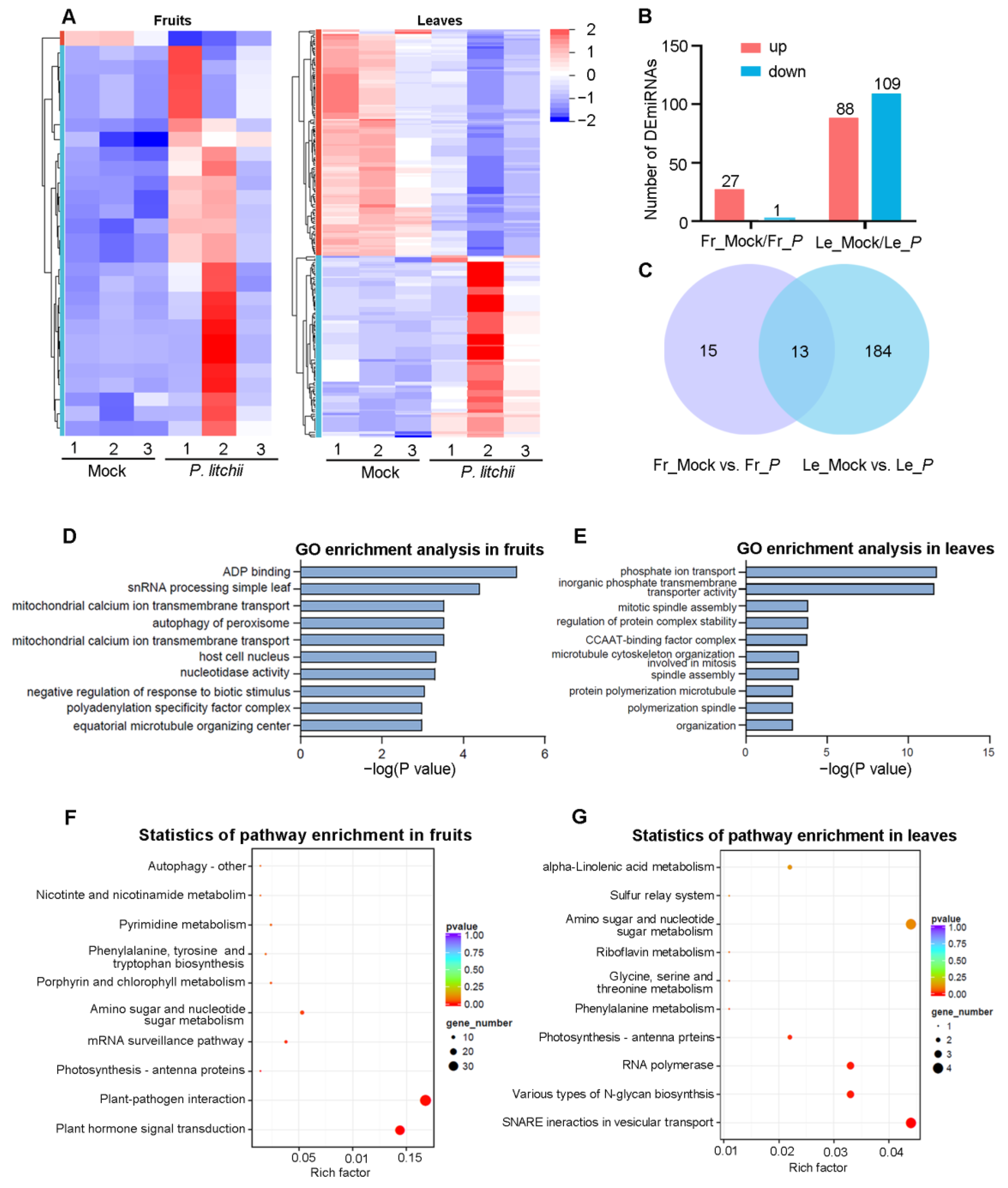 Agronomy 13 01904 g005