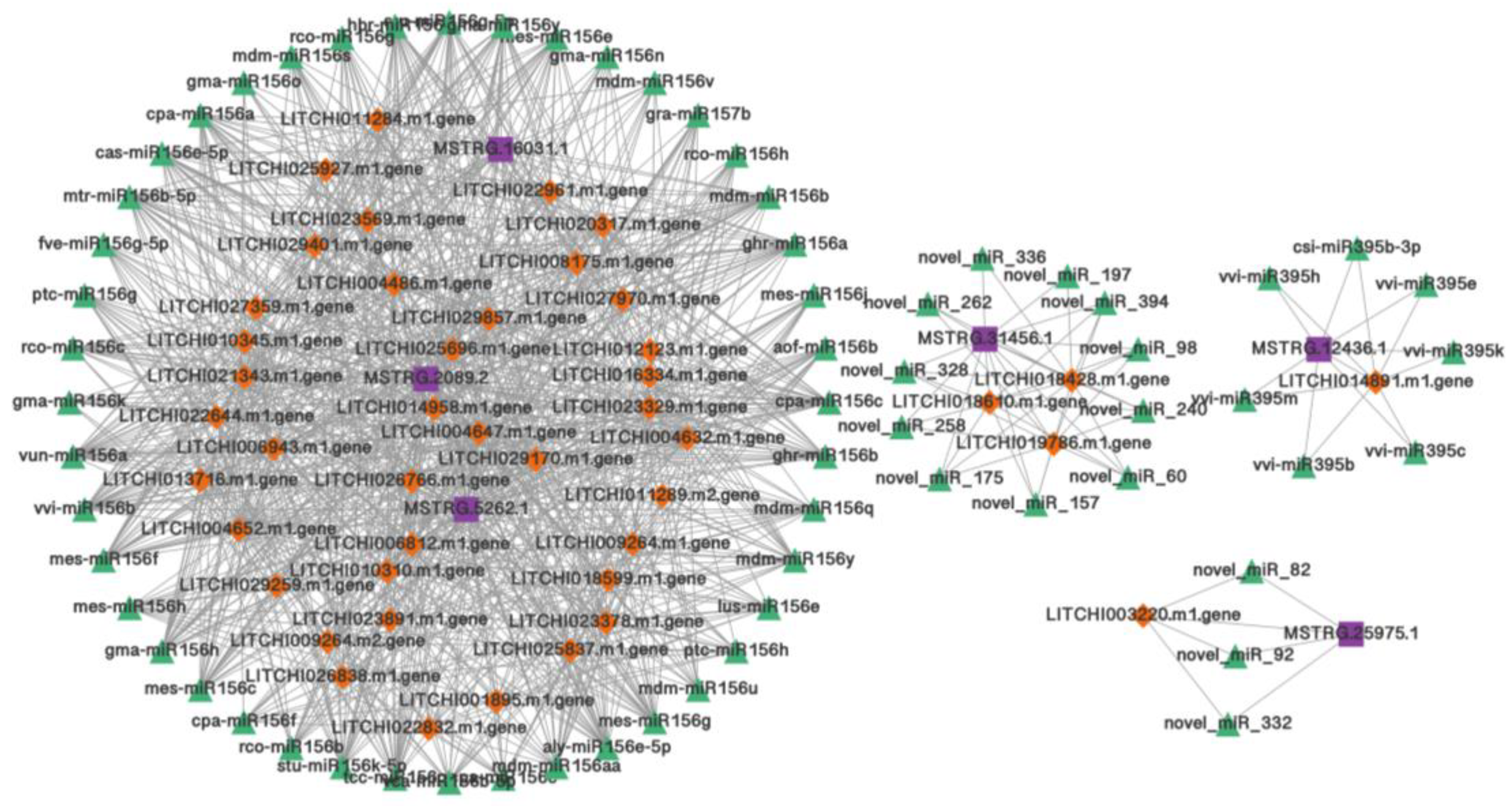 Agronomy 13 01904 g007