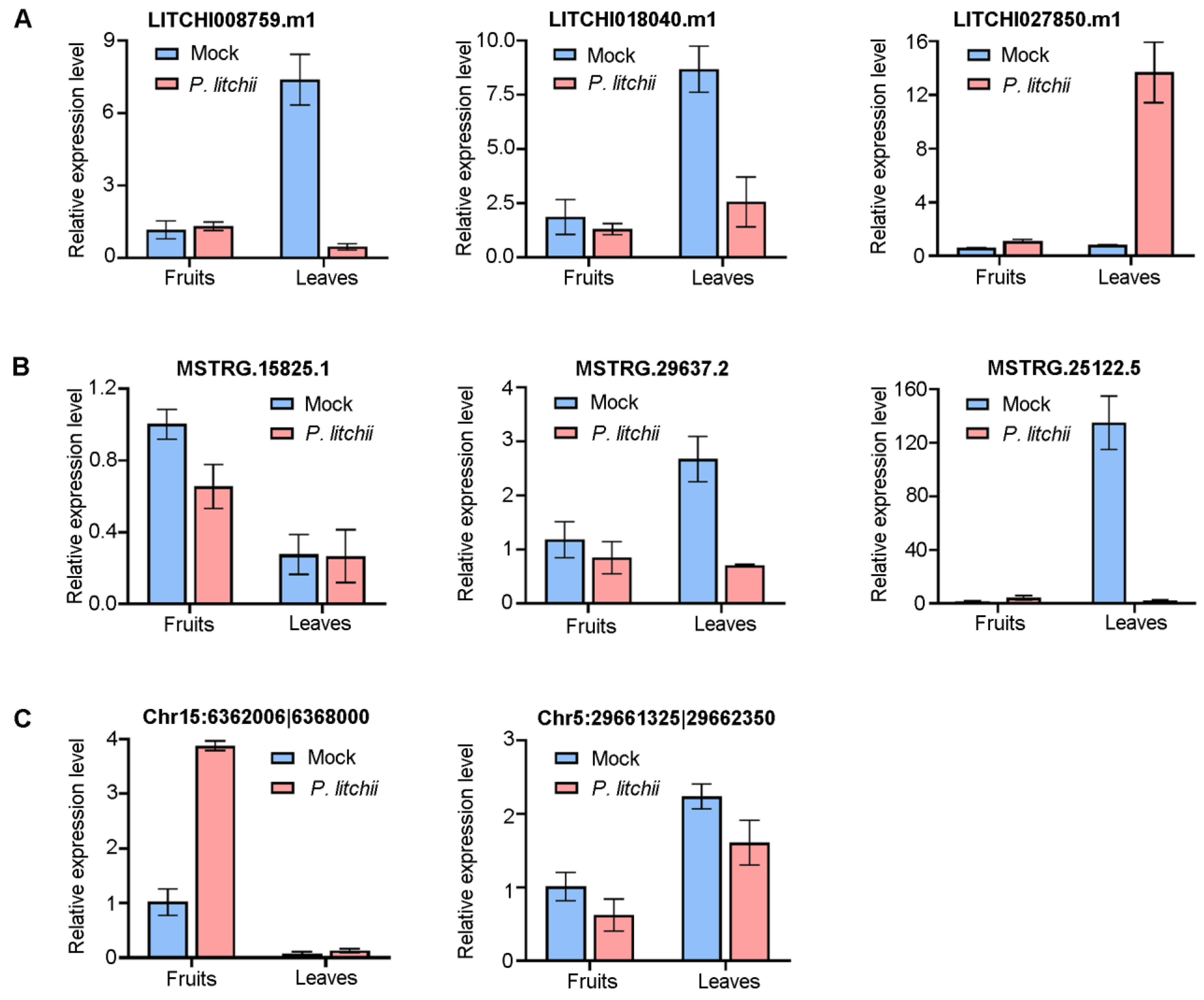 Agronomy 13 01904 g008