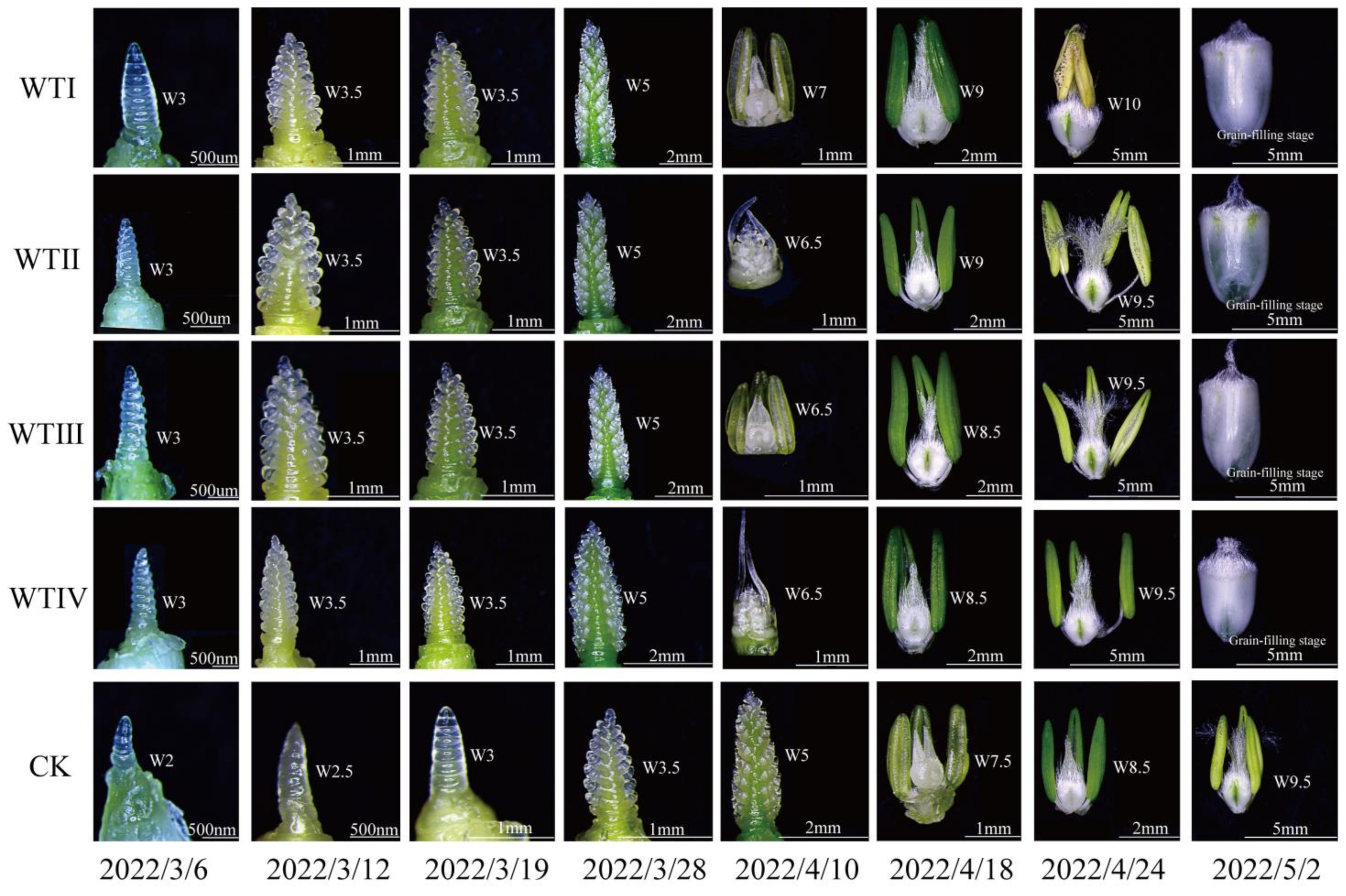 Agronomy 13 01909 g002