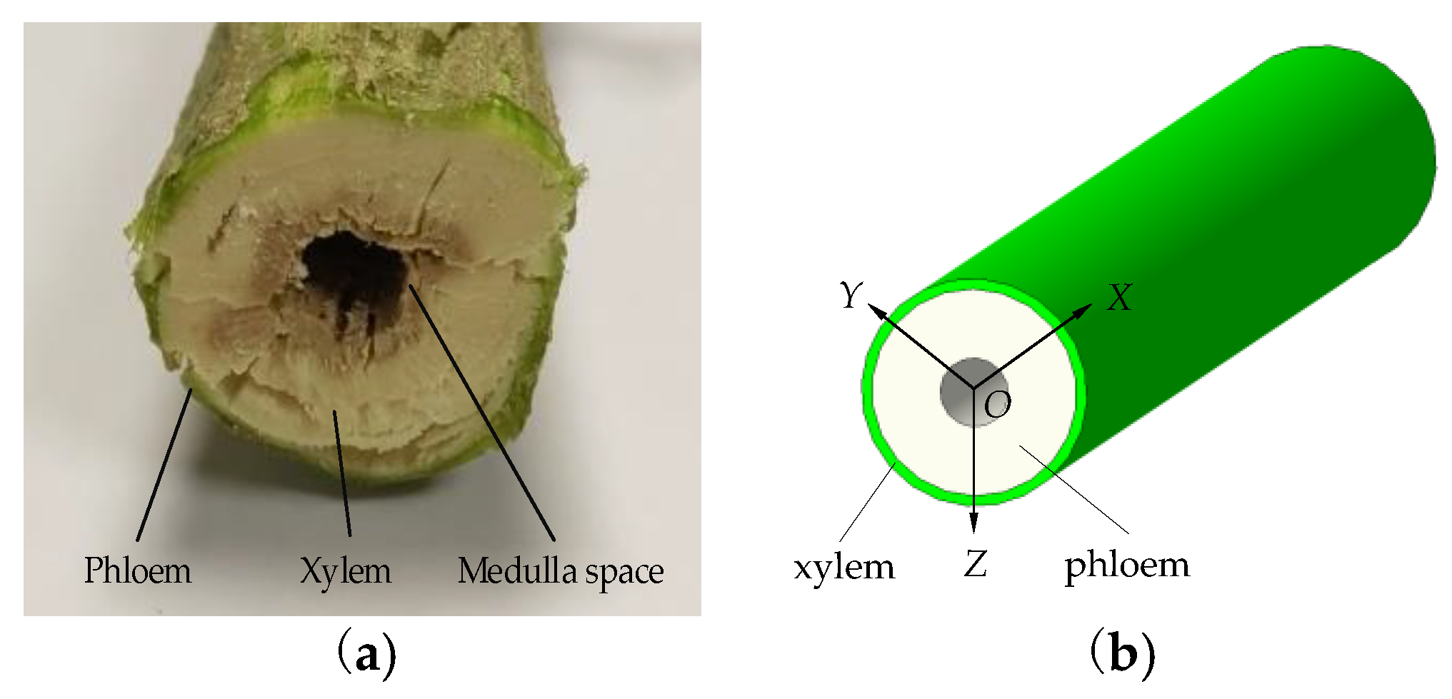 Agronomy 13 01918 g001