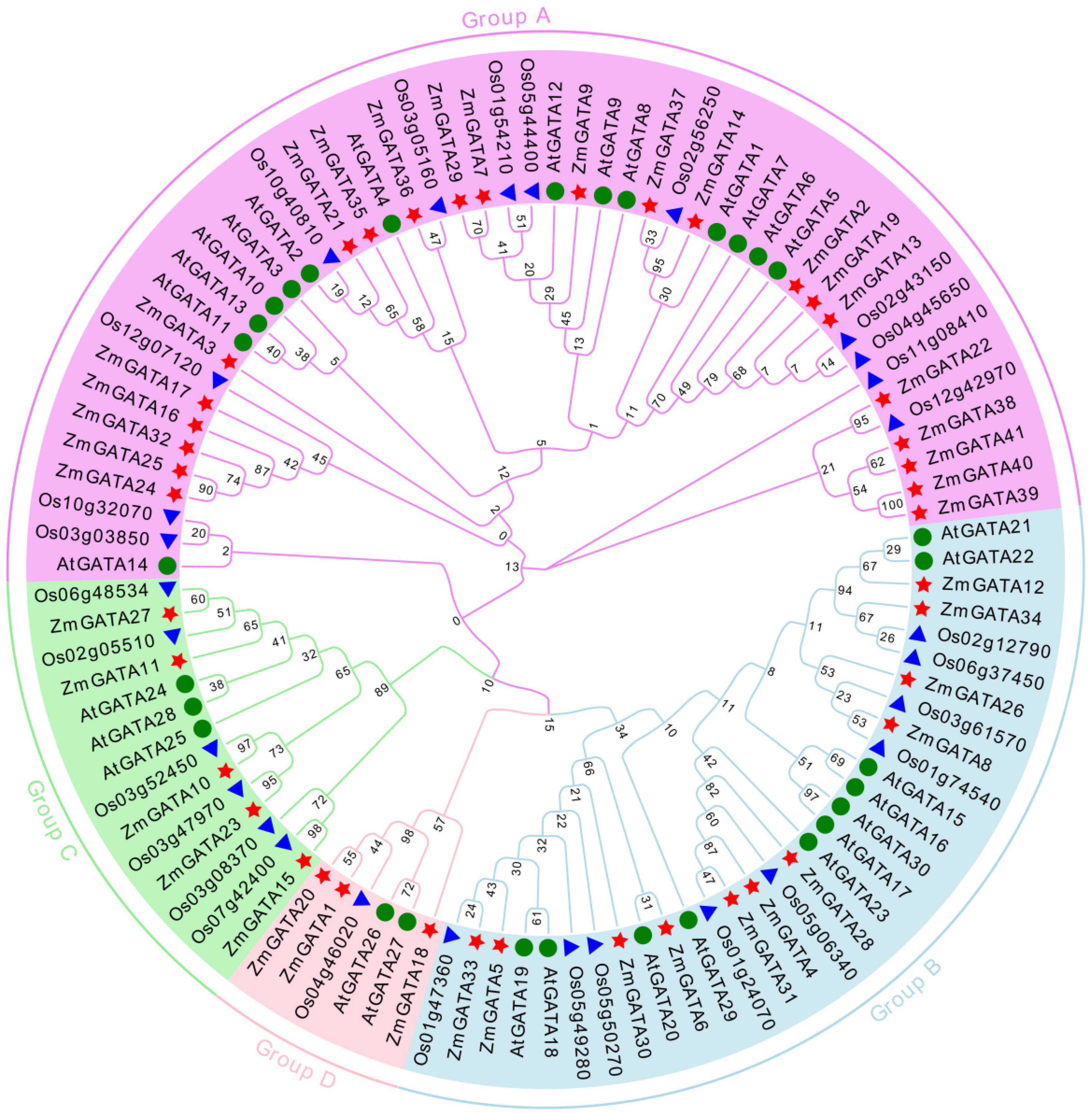 Agronomy 13 01921 g002