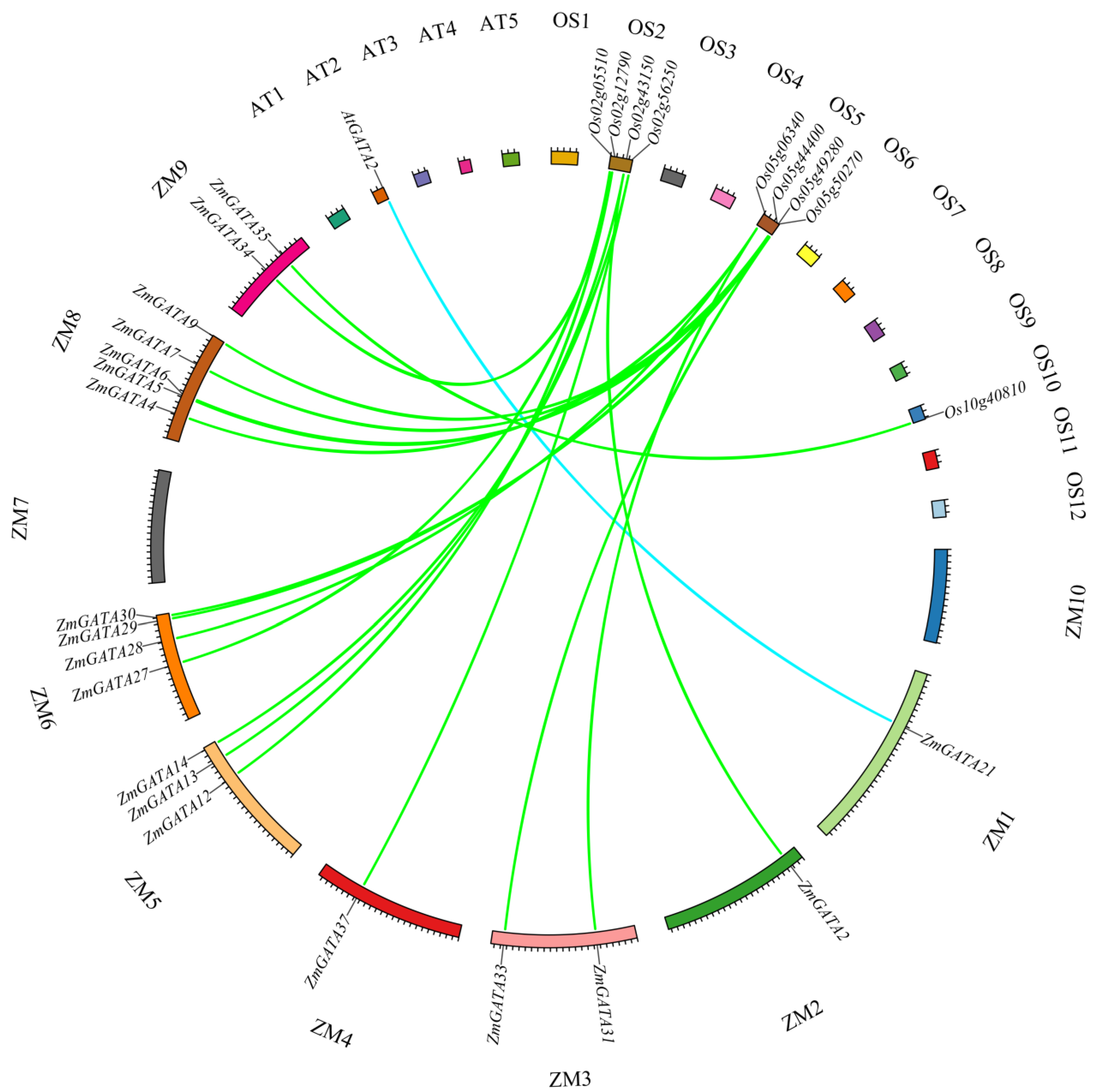 Agronomy 13 01921 g004