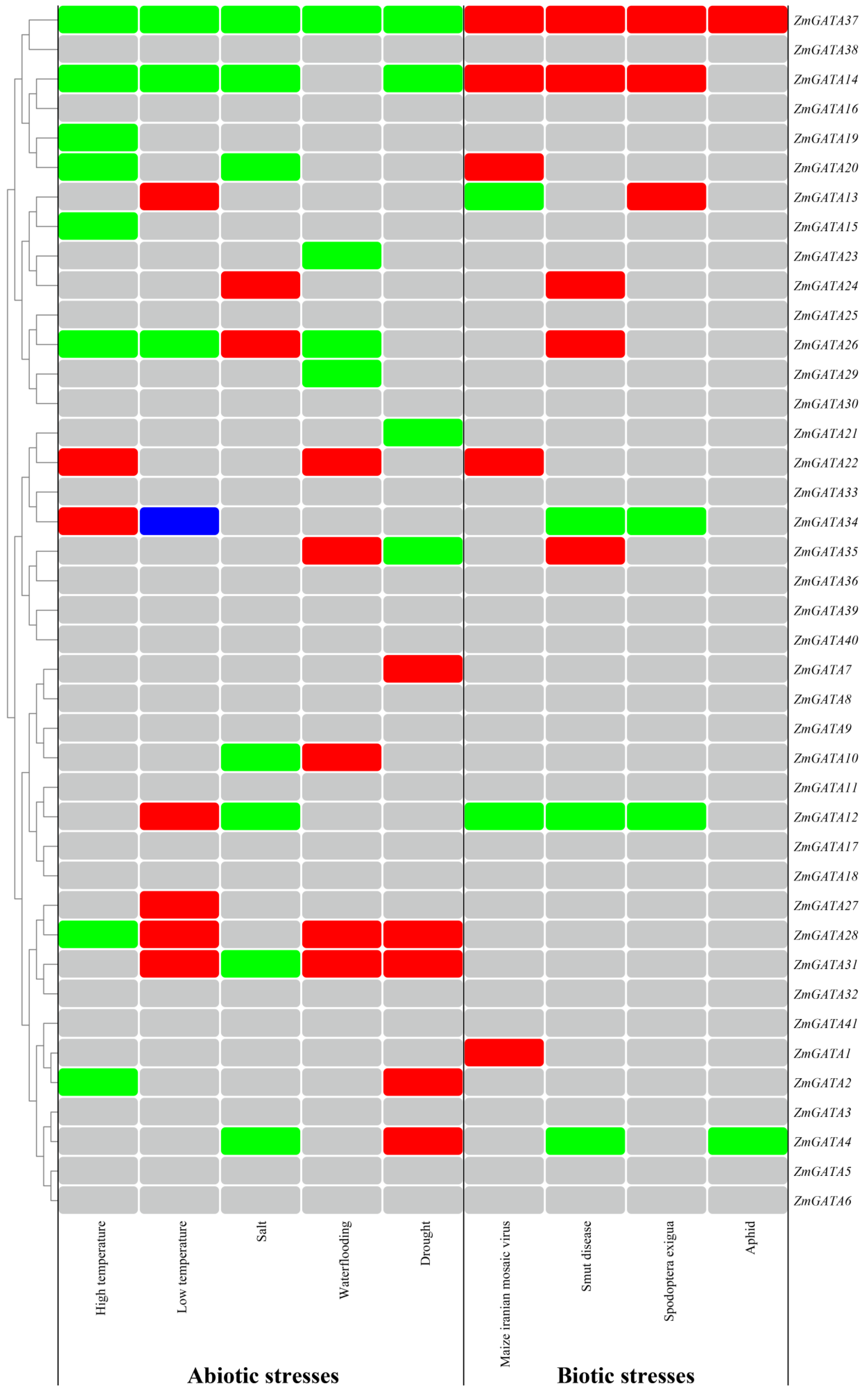 Agronomy 13 01921 g009