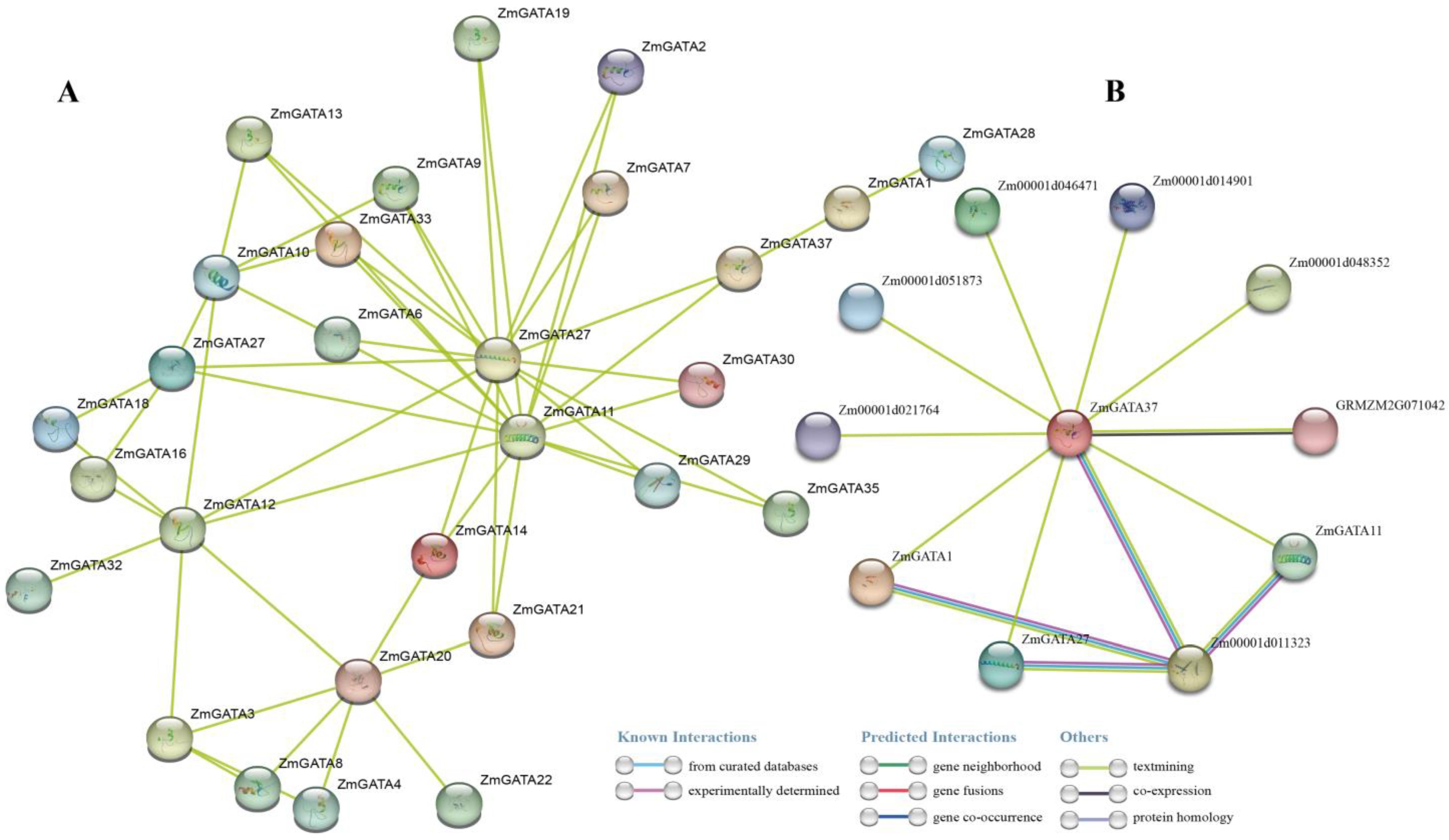 Agronomy 13 01921 g010