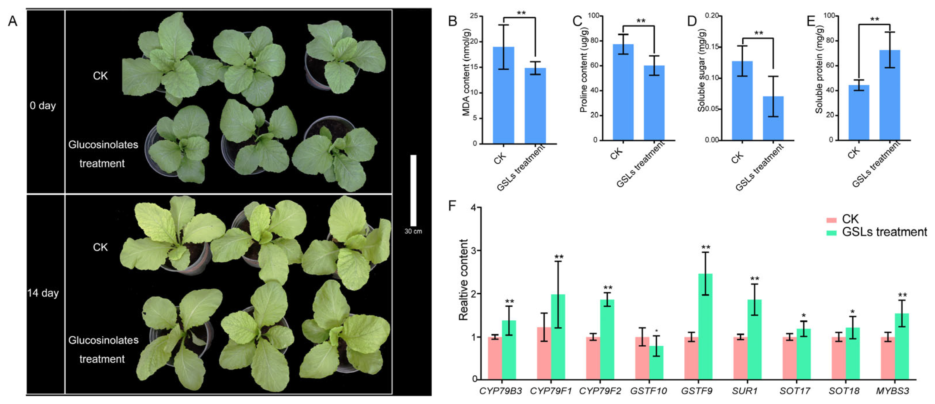 Agronomy 13 01922 g006