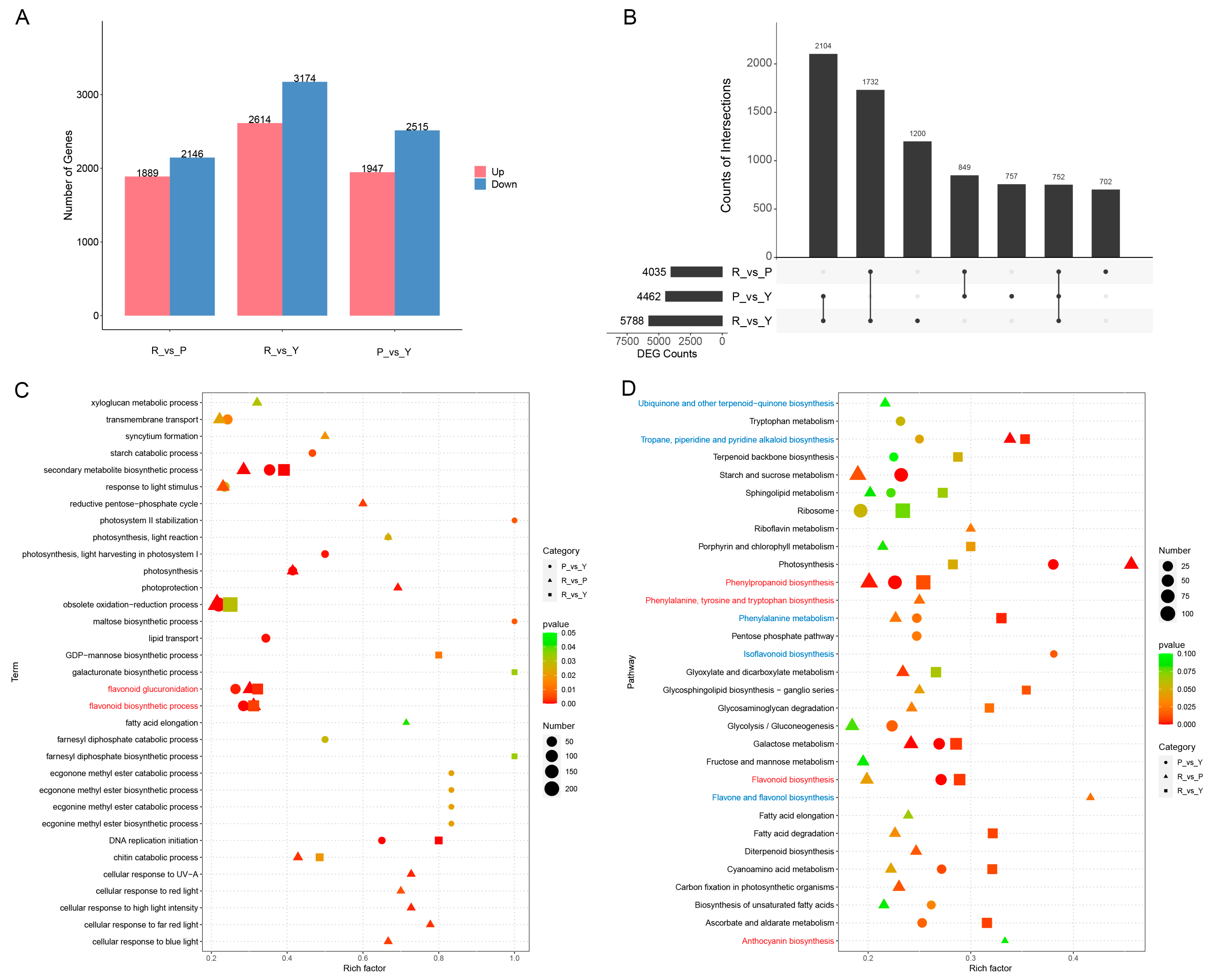 Agronomy 13 01926 g003 Agronomy 13 01926 g003