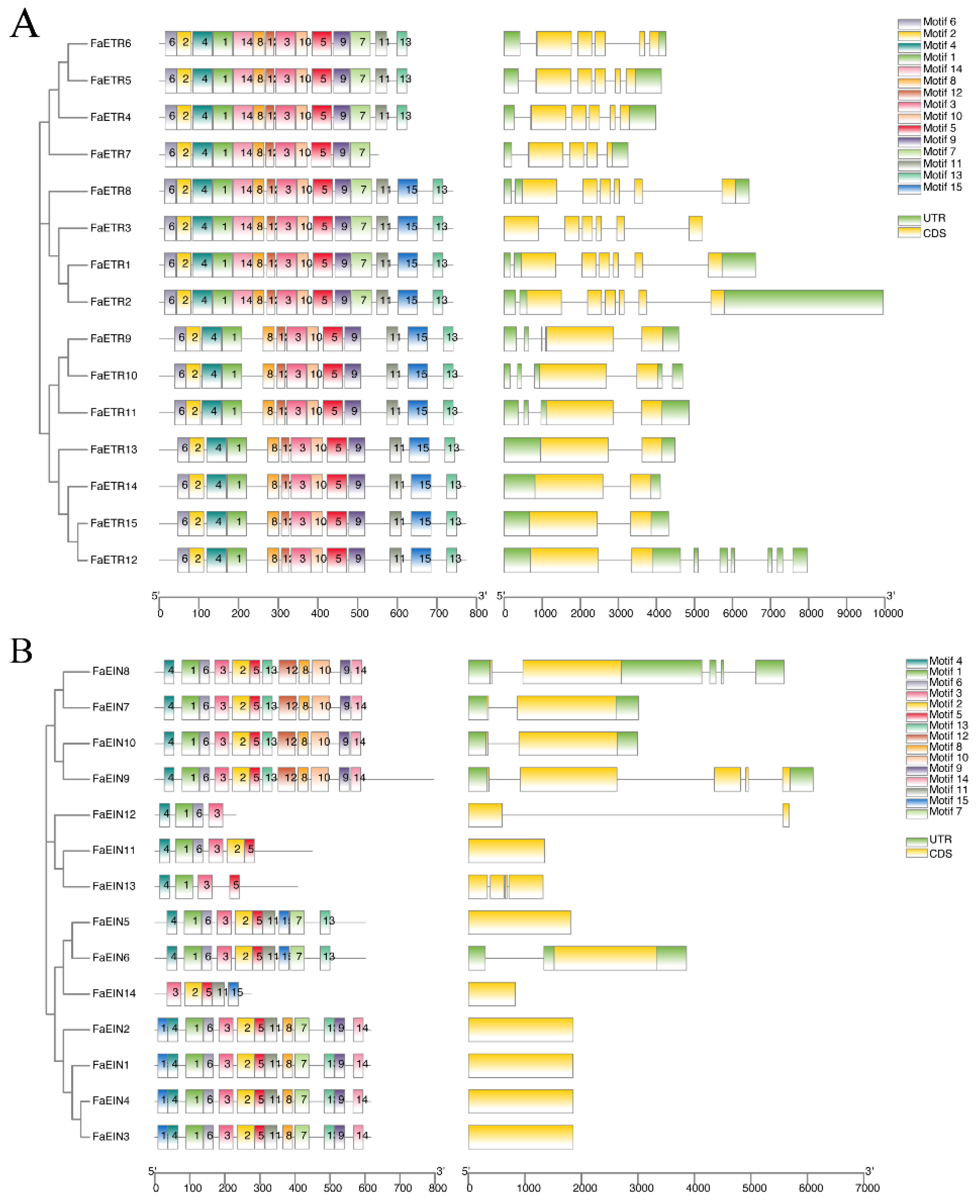 Agronomy 13 01930 g003 Agronomy 13 01930 g003