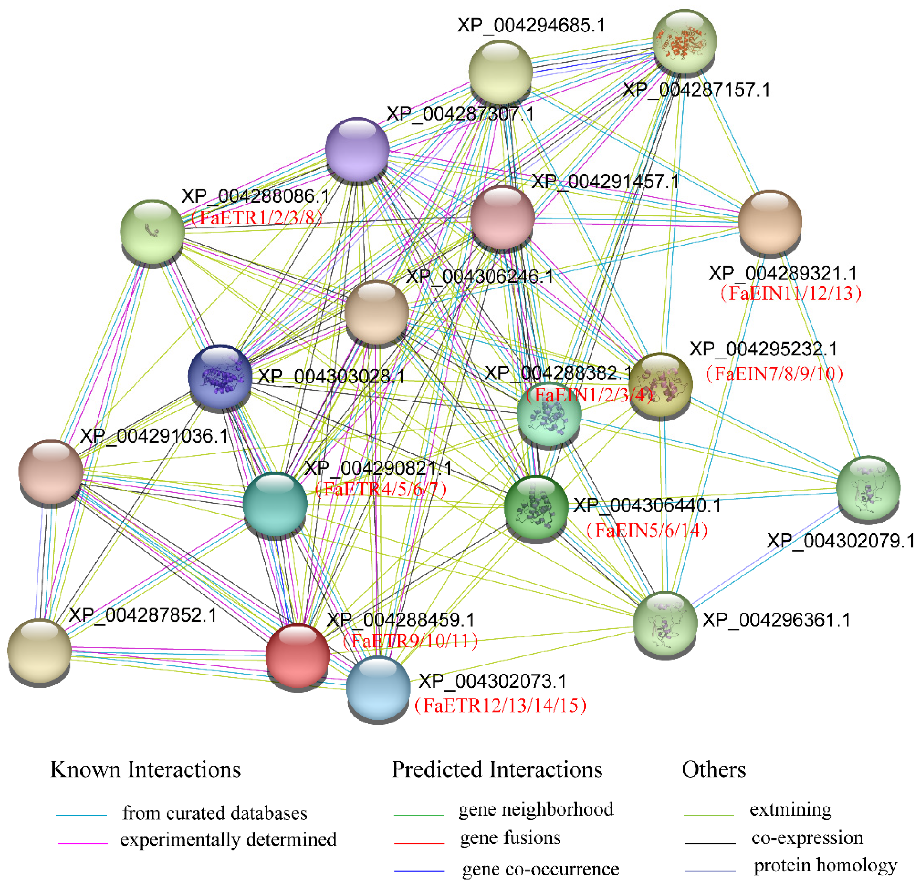 Agronomy 13 01930 g004 Agronomy 13 01930 g004