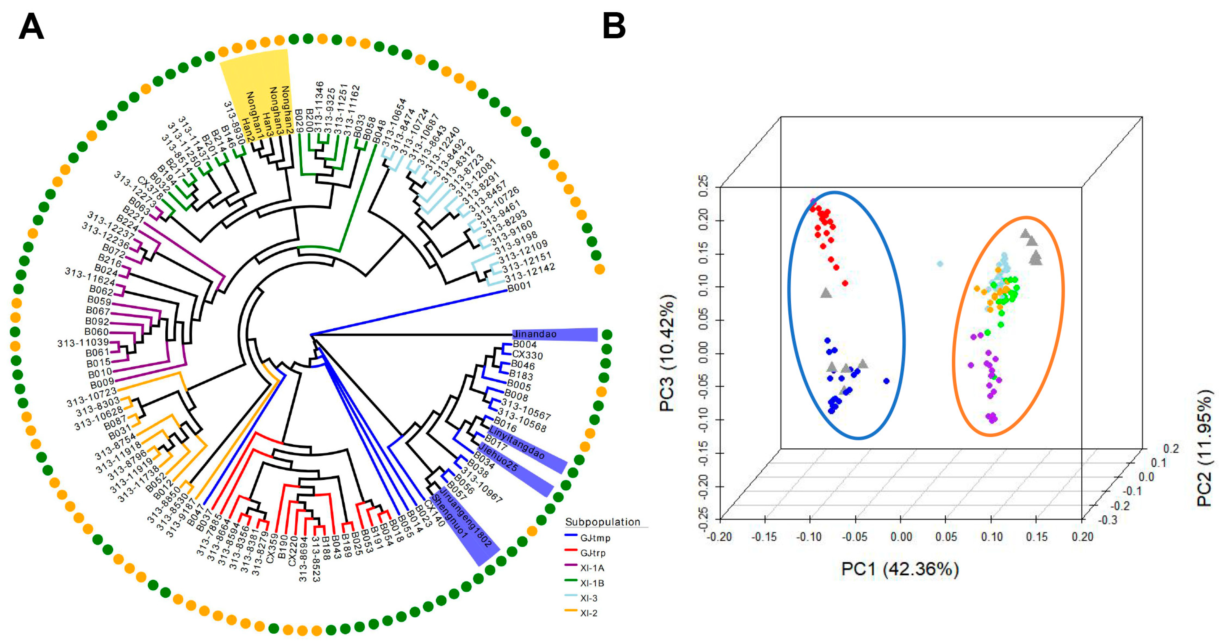 Agronomy 13 01936 g003 Agronomy 13 01936 g003