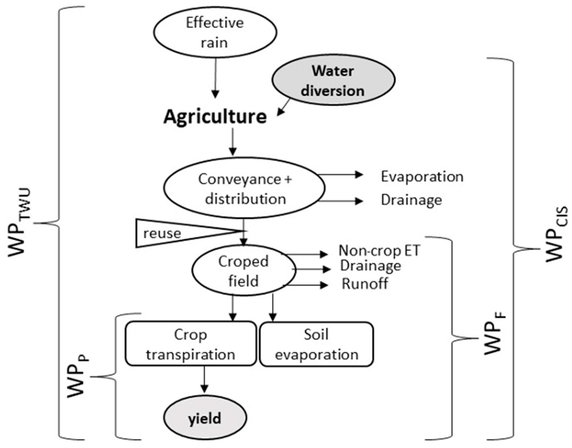 Agronomy 13 01938 g001
