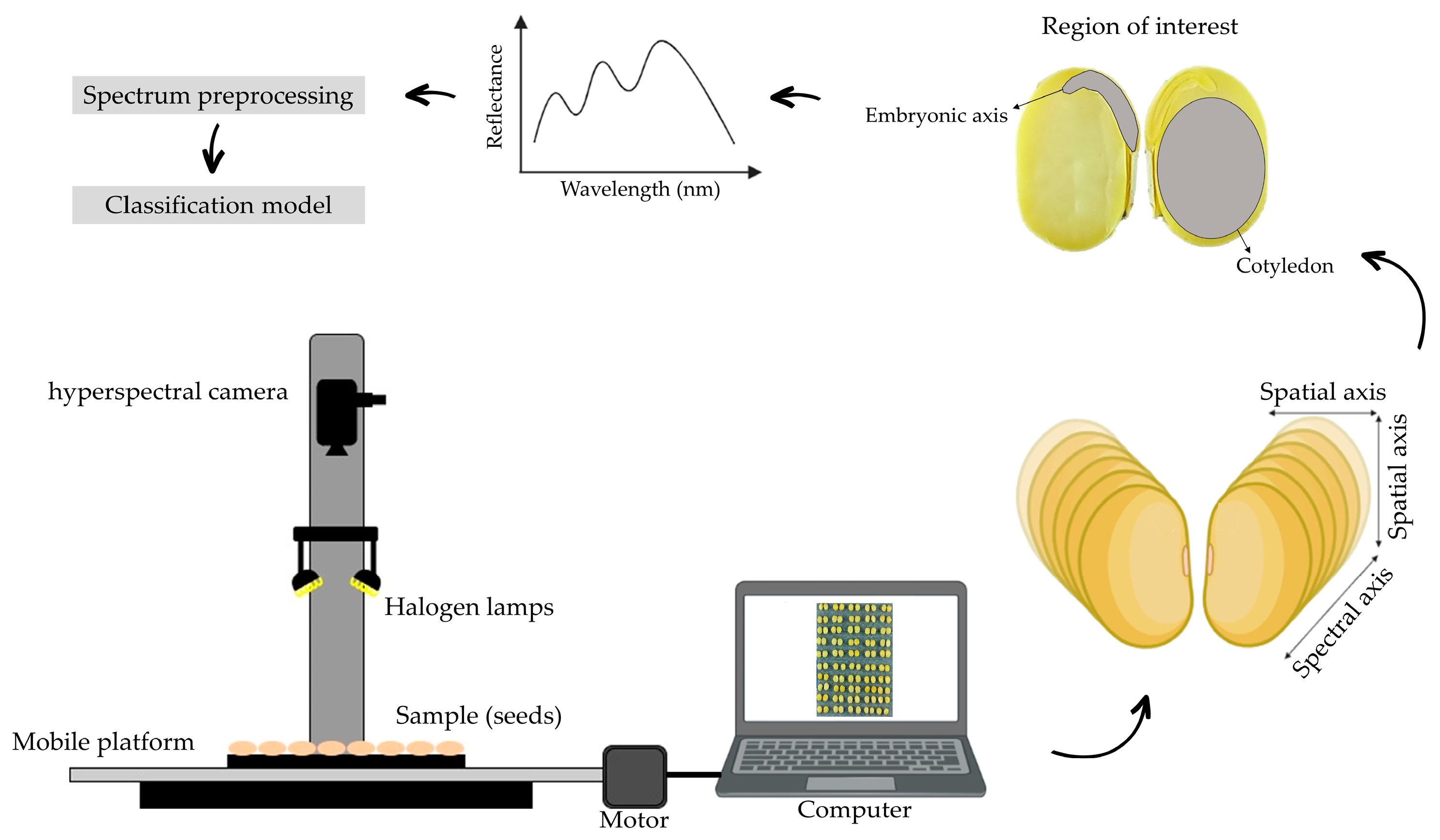 Agronomy 13 01945 g002 Agronomy 13 01945 g002
