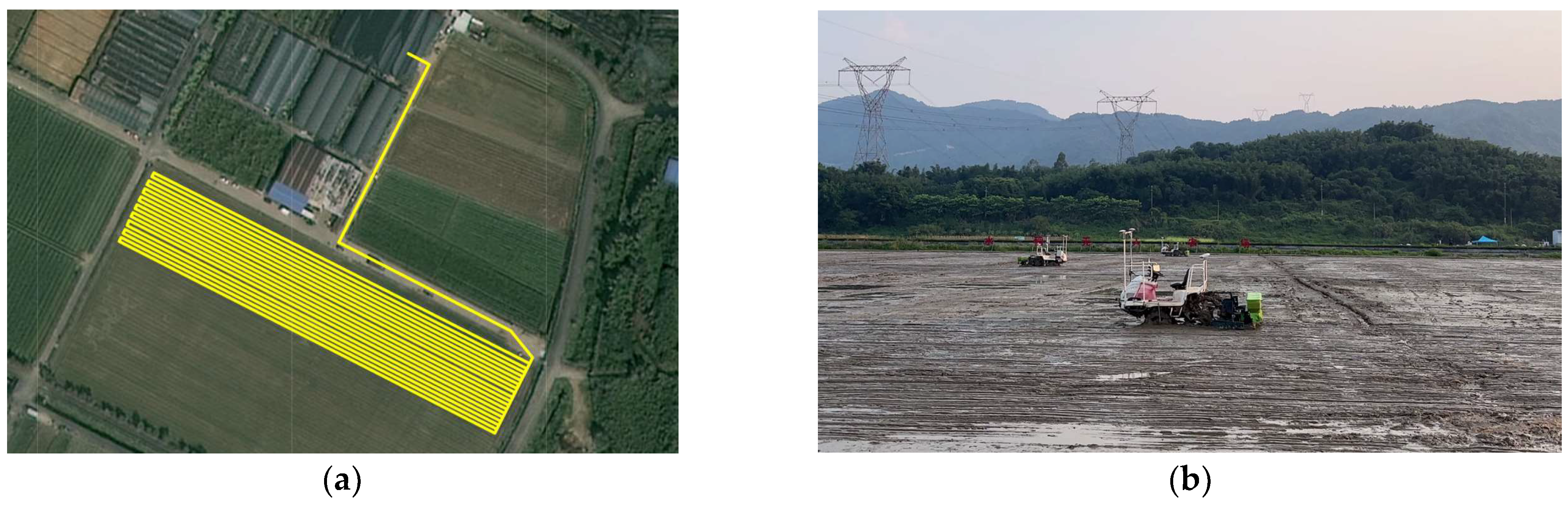 Agronomy 13 01949 g006