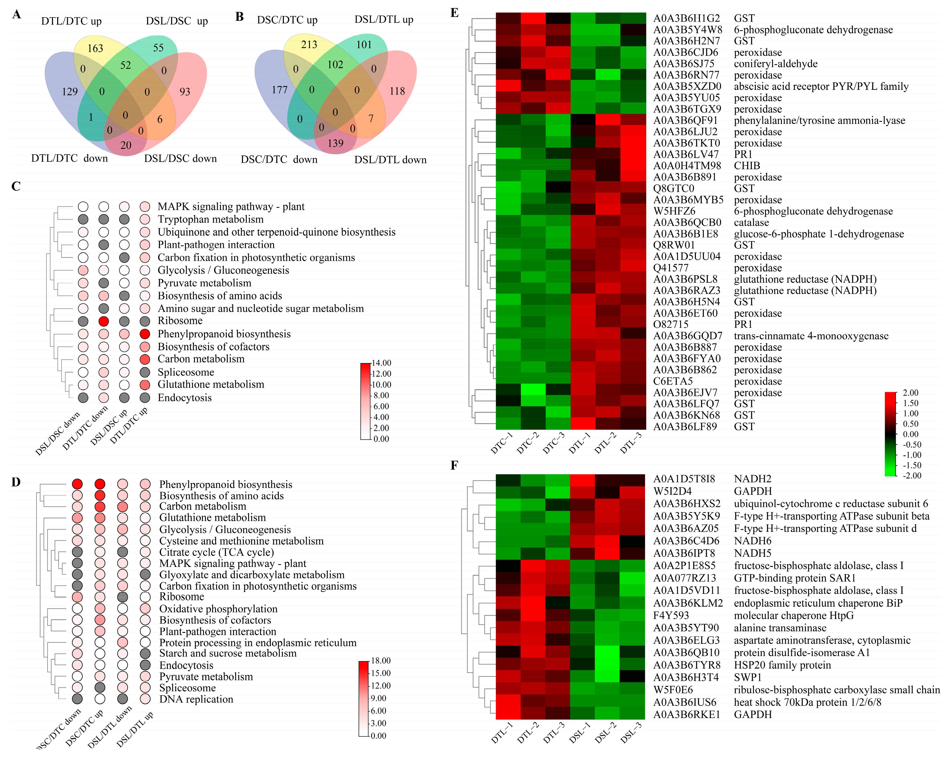 Agronomy 13 01950 g003