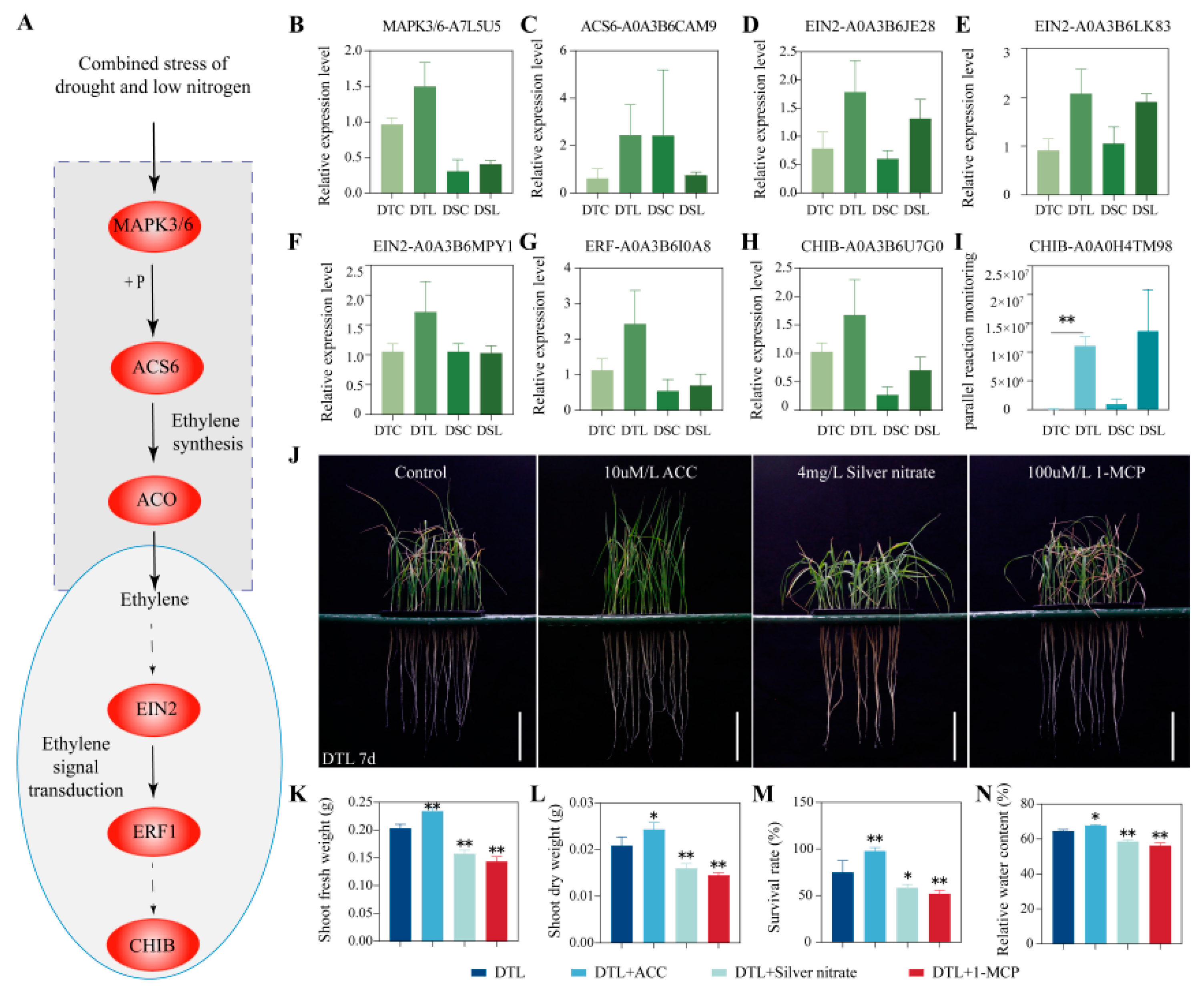 Agronomy 13 01950 g004