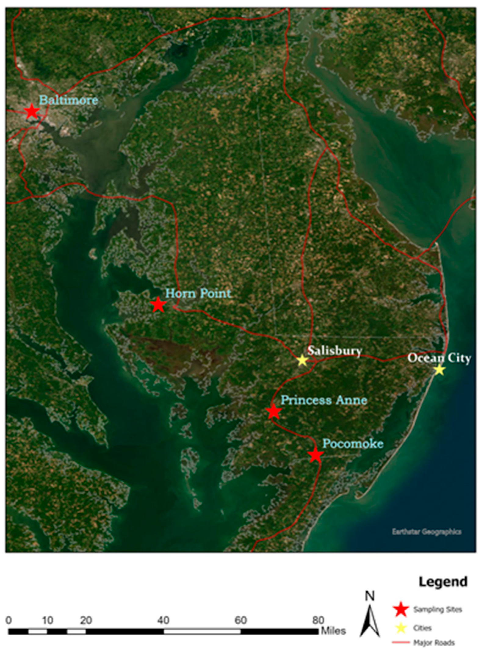 Agronomy 13 01952 g001