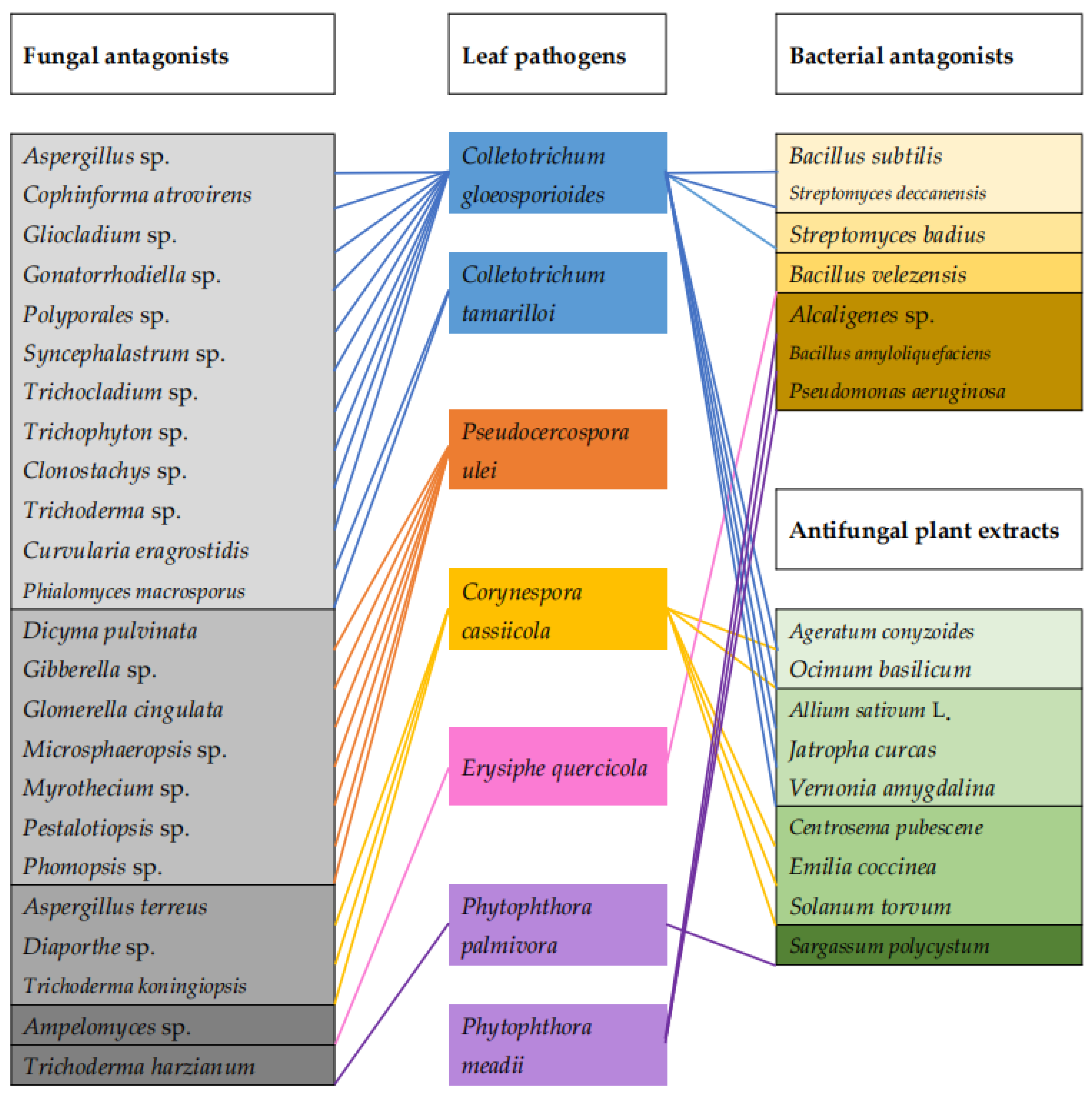 Agronomy 13 01965 g011