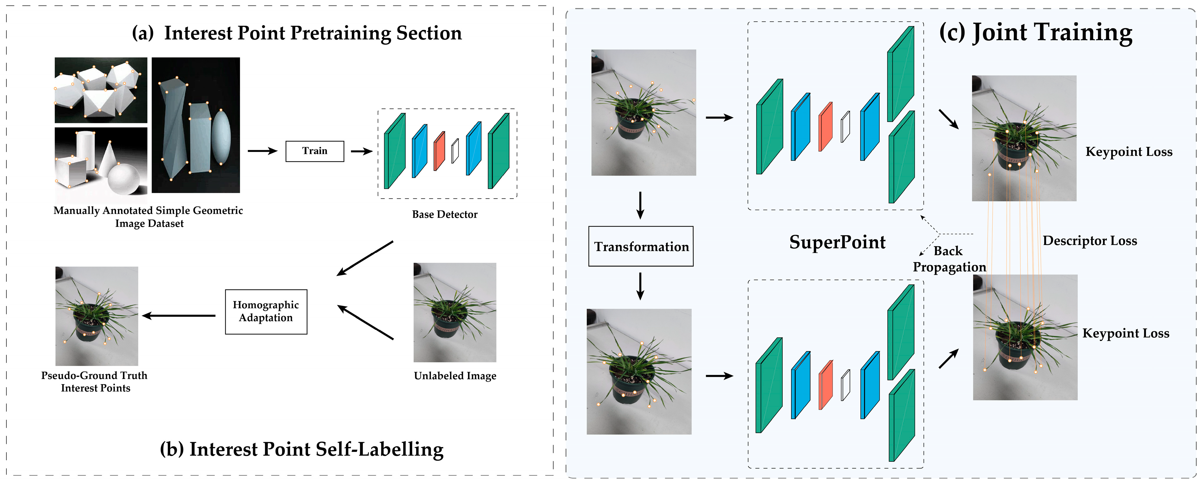 Agronomy 13 01975 g004