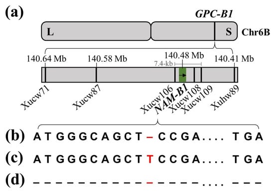 Agronomy 13 01977 g001
