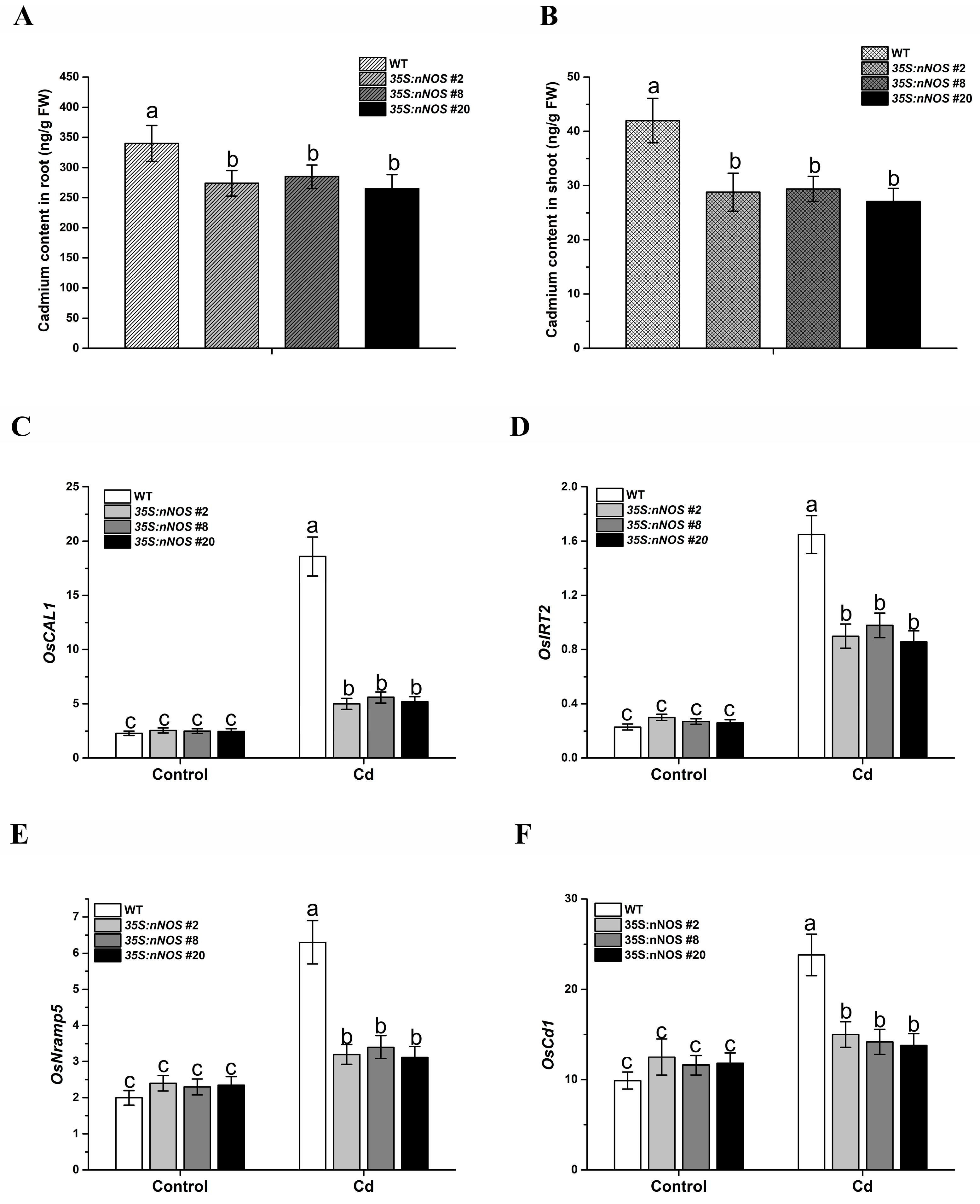 Agronomy 13 01978 g004 Agronomy 13 01978 g004