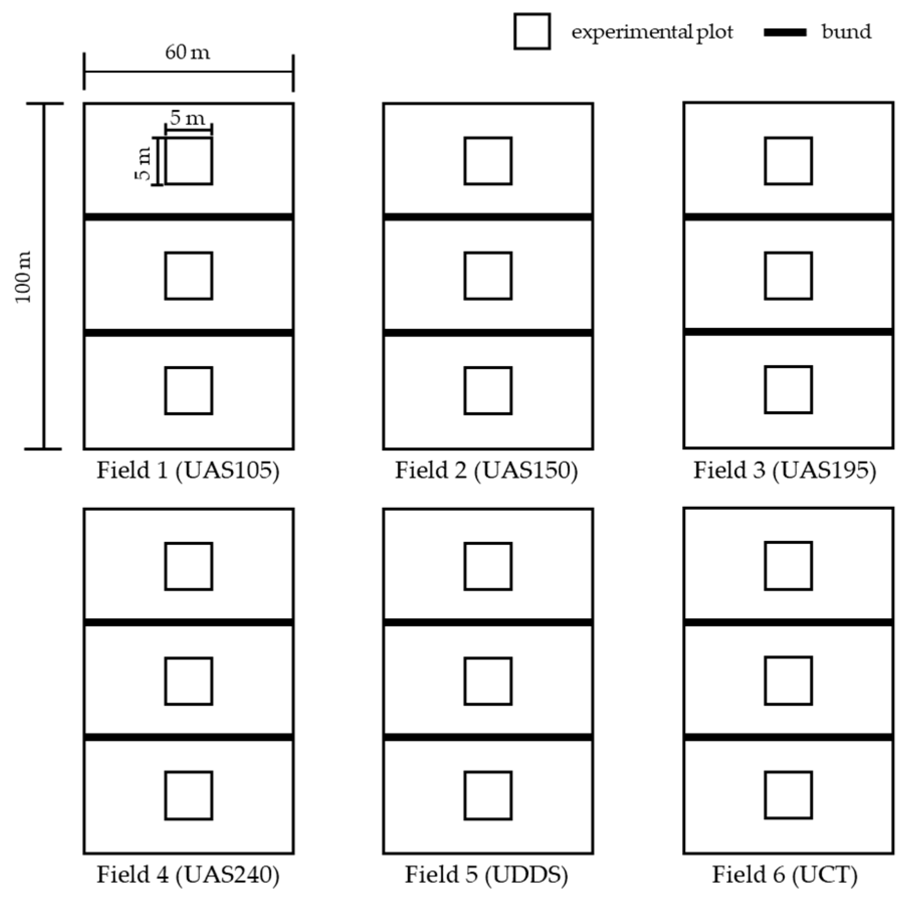 Agronomy 13 01980 g002