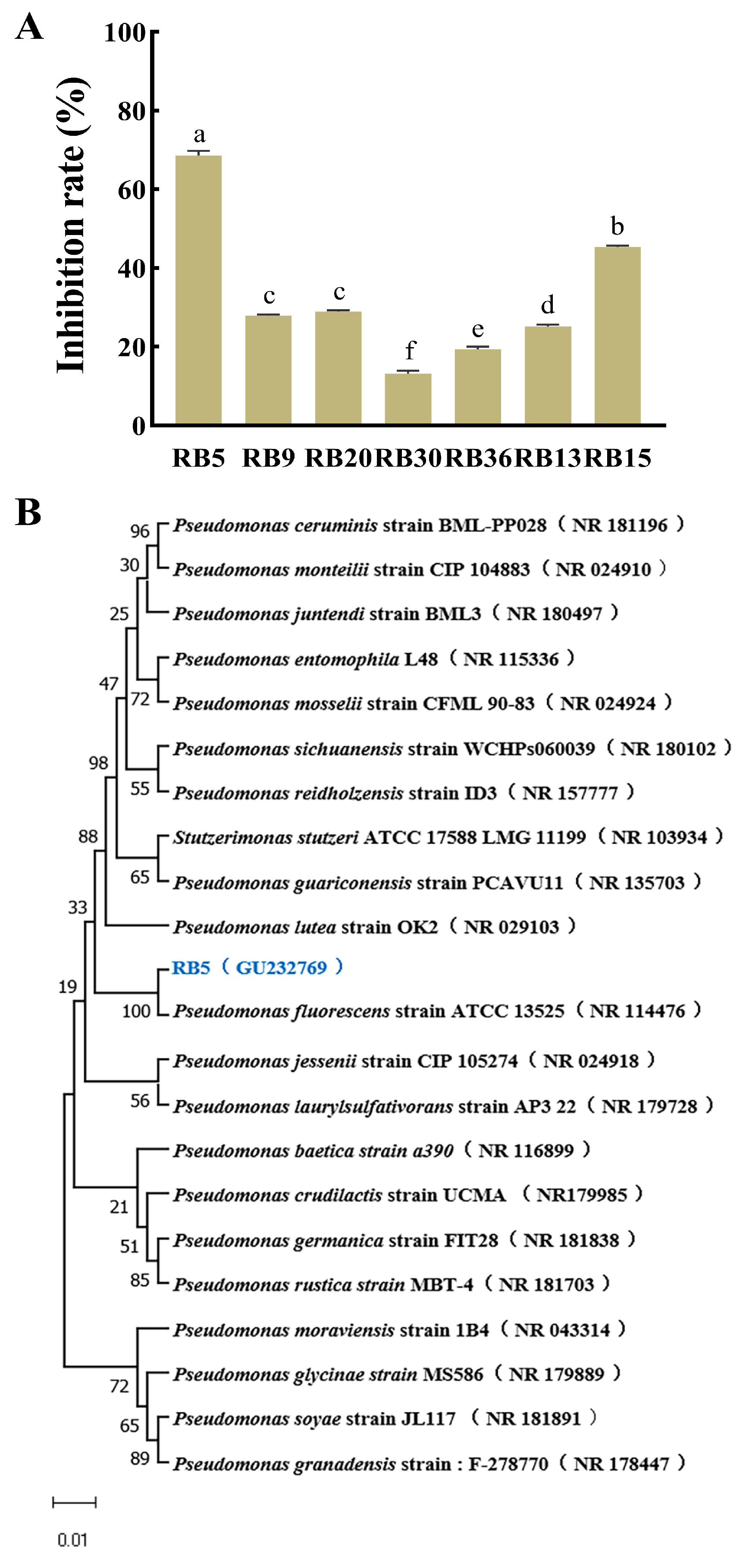 Agronomy 13 01986 g001 Agronomy 13 01986 g001