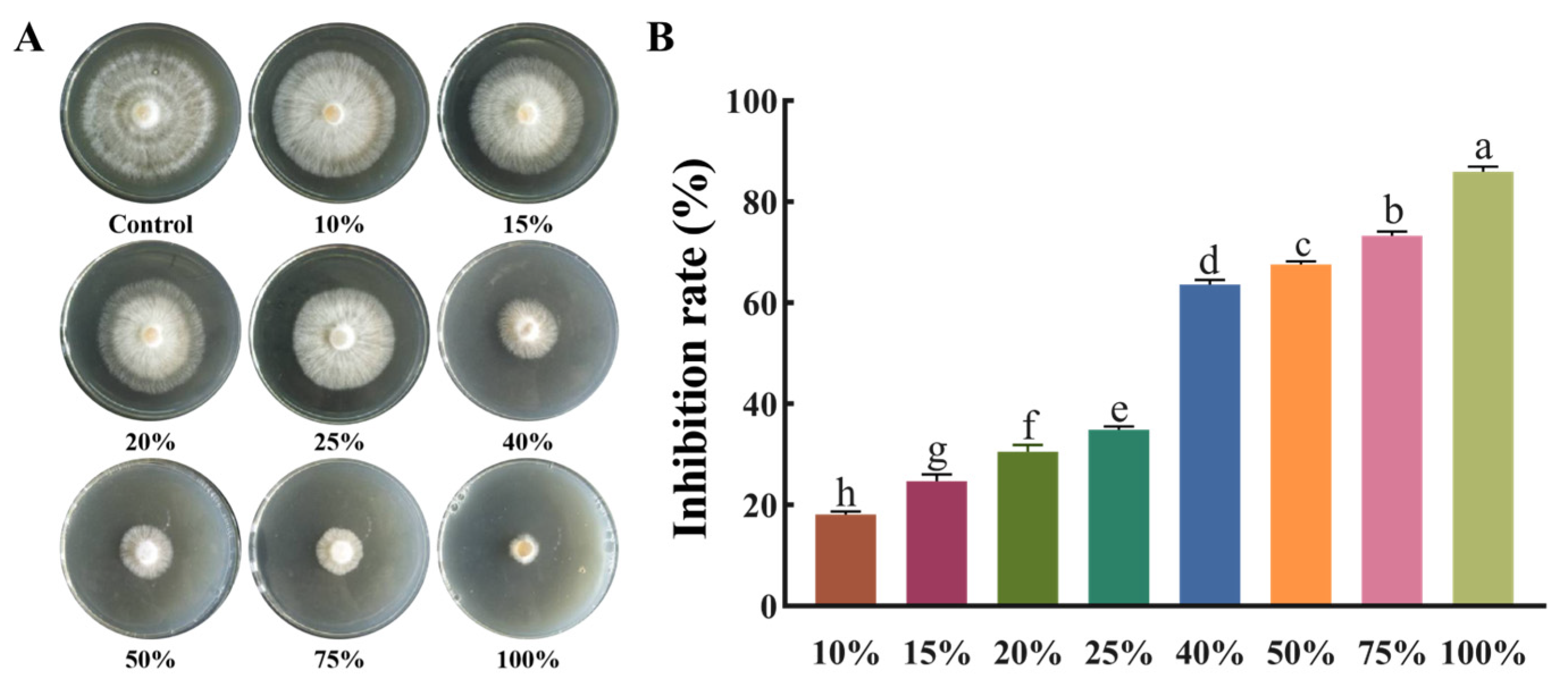Agronomy 13 01986 g005 Agronomy 13 01986 g005