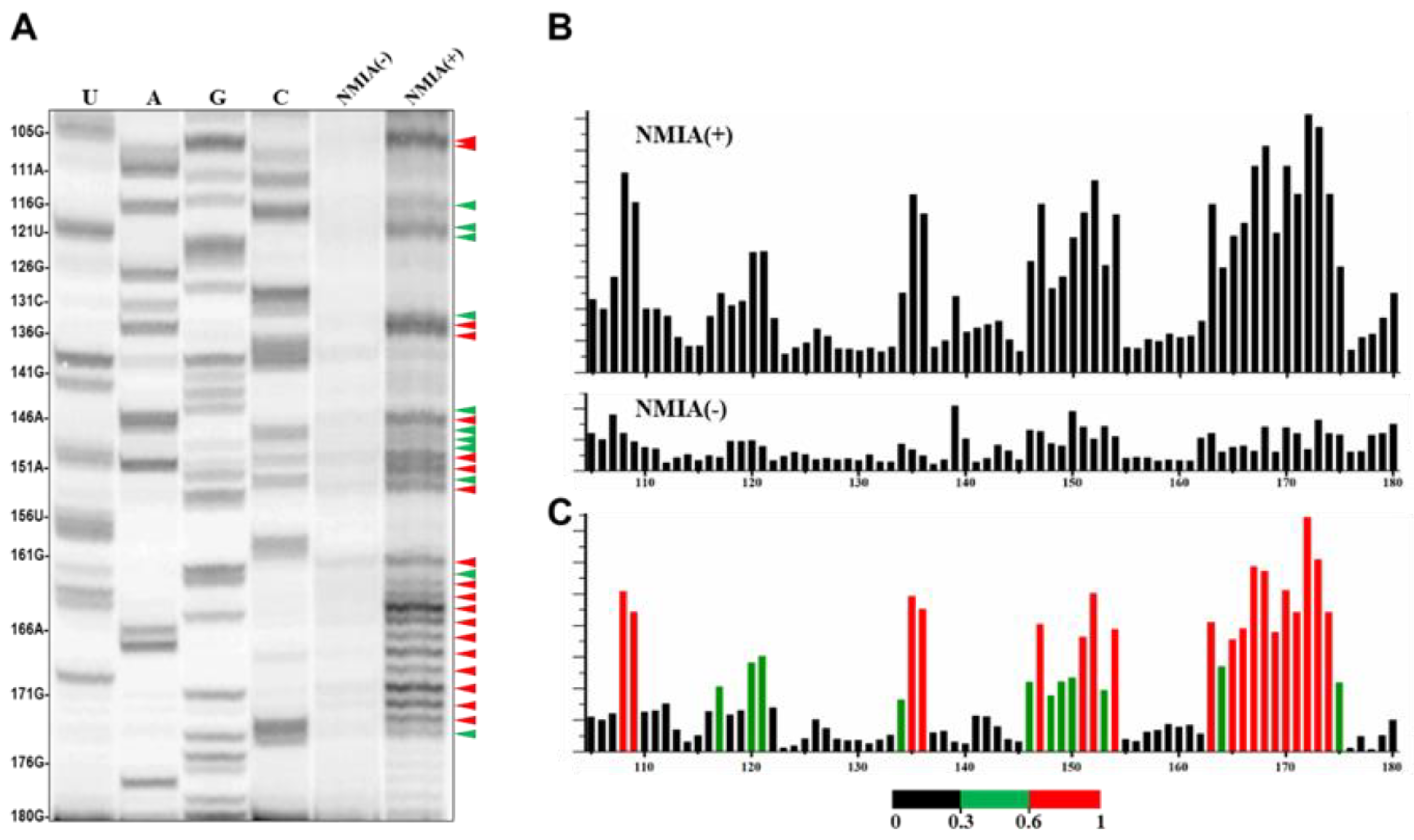 Agronomy 13 01990 g002