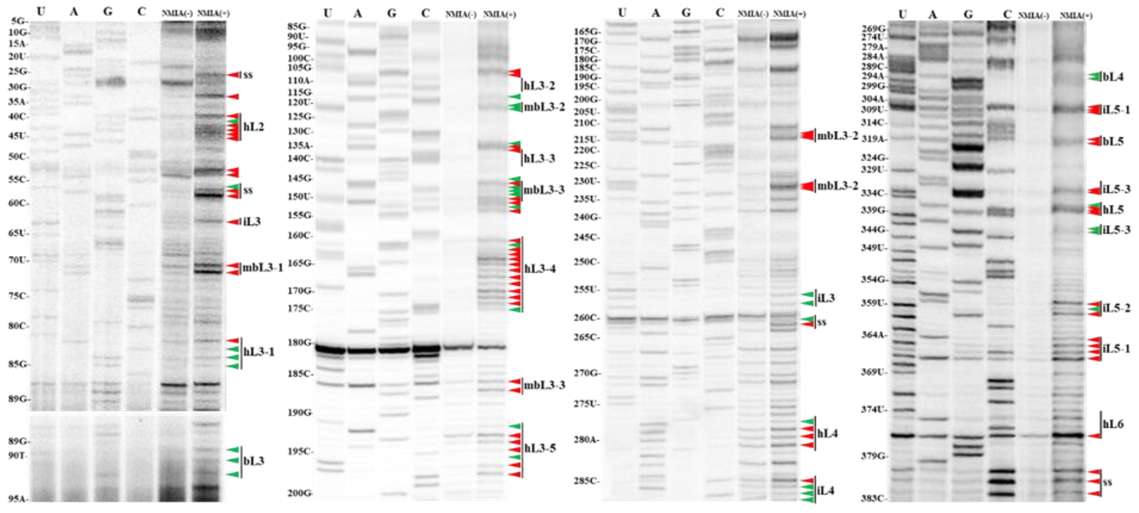 Agronomy 13 01990 g003