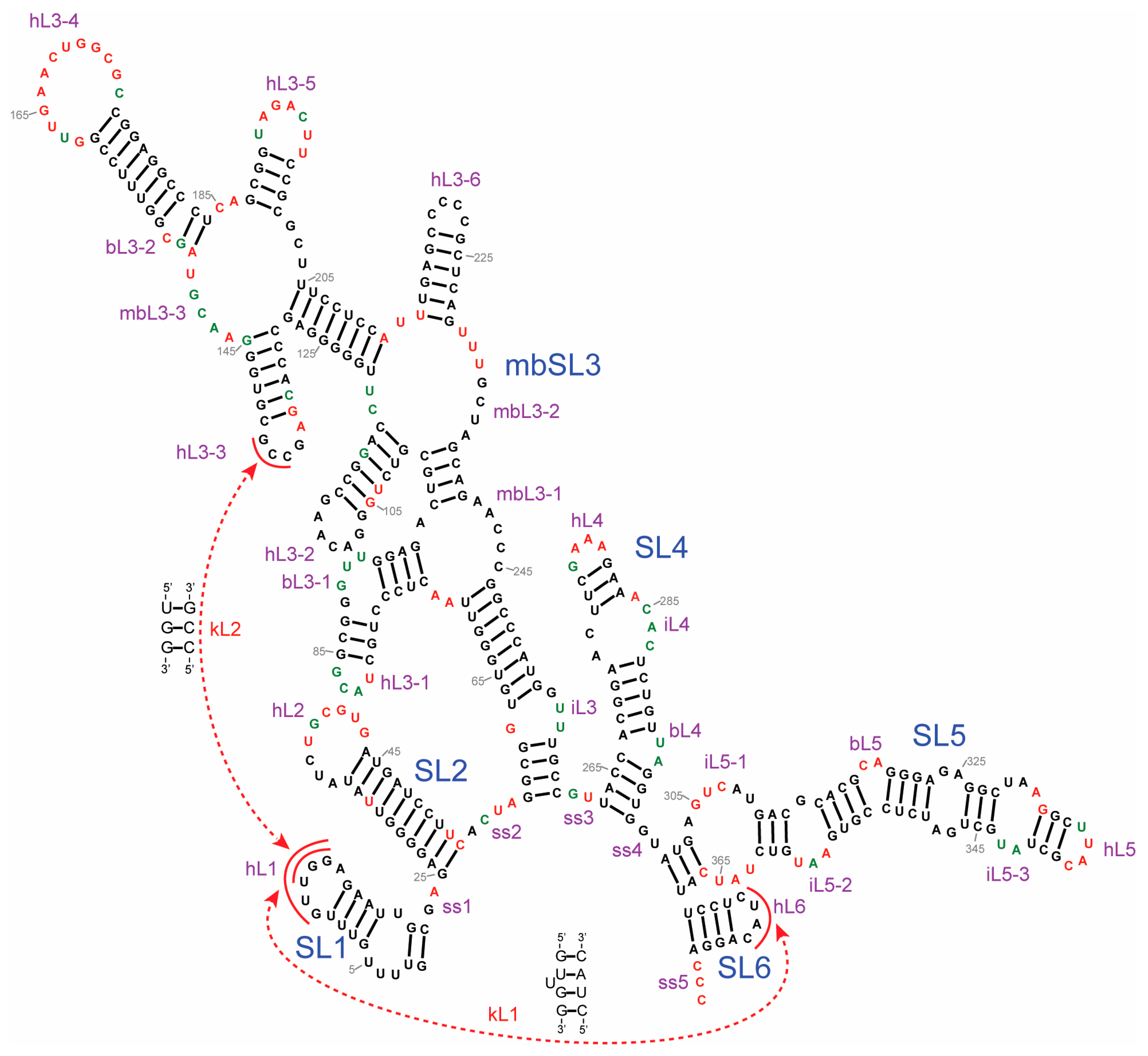 Agronomy 13 01990 g004