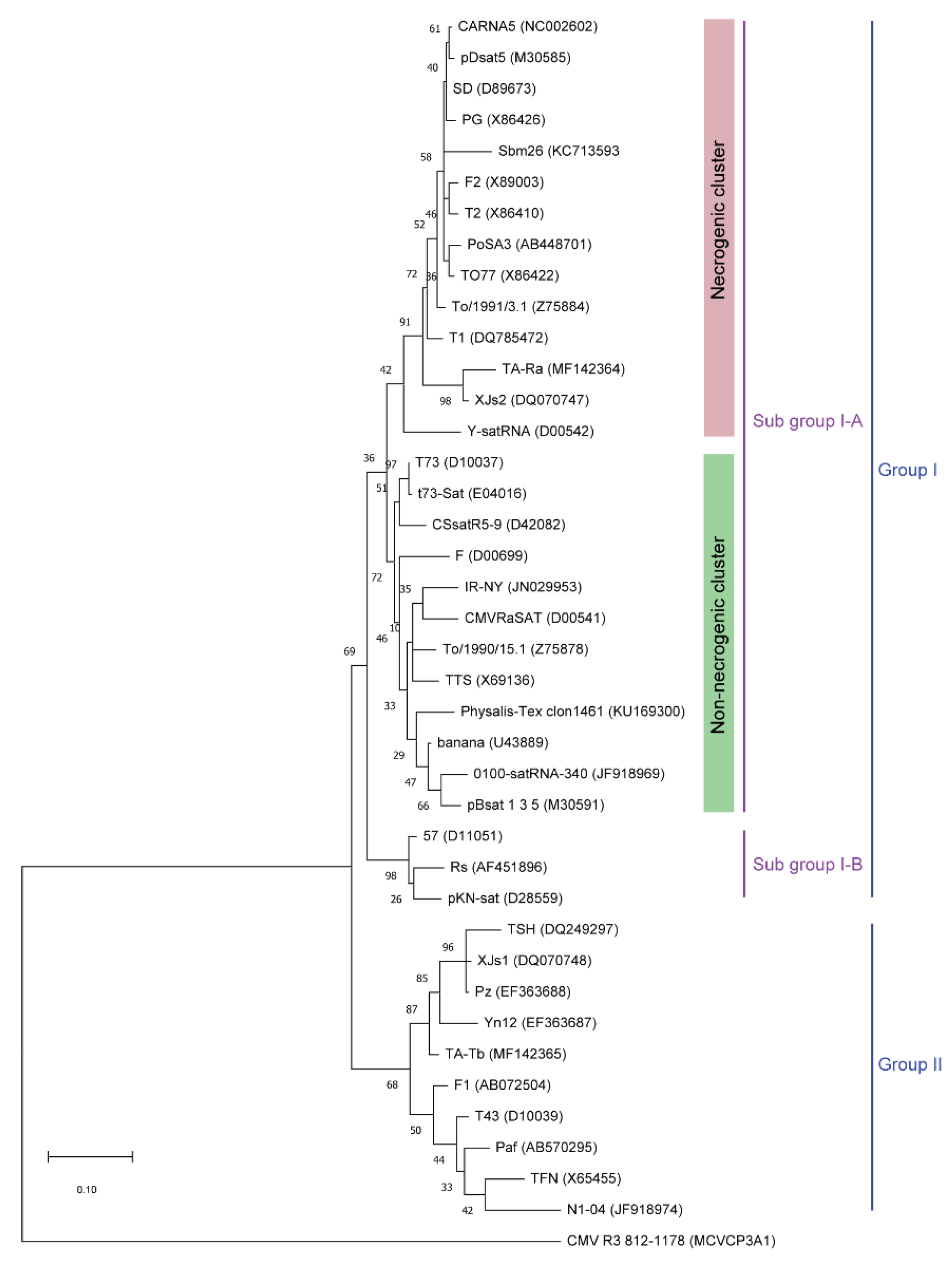 Agronomy 13 01990 g005