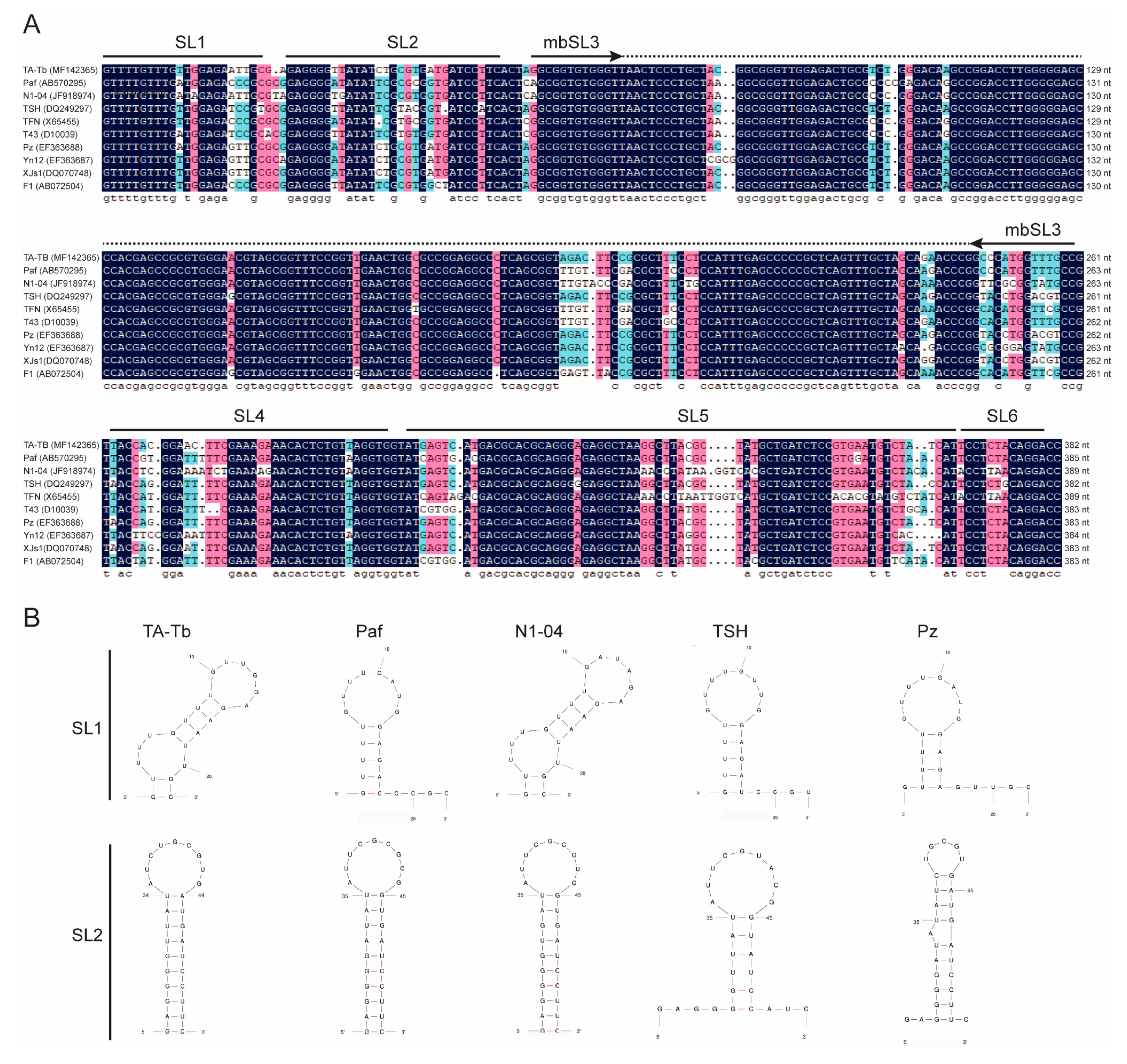 Agronomy 13 01990 g006