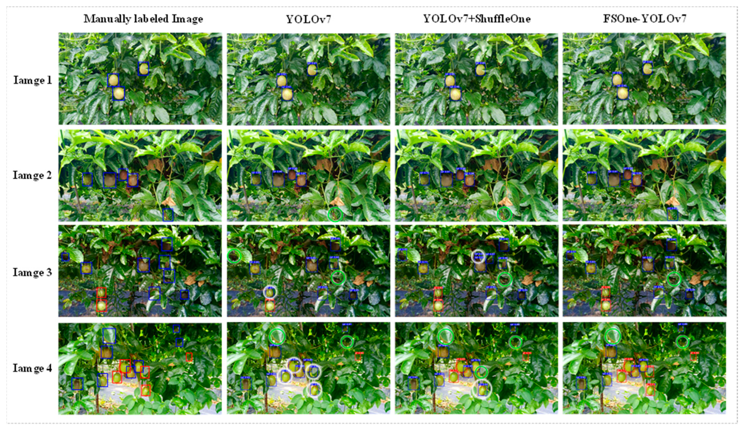 Agronomy 13 01993 g012 Agronomy 13 01993 g012