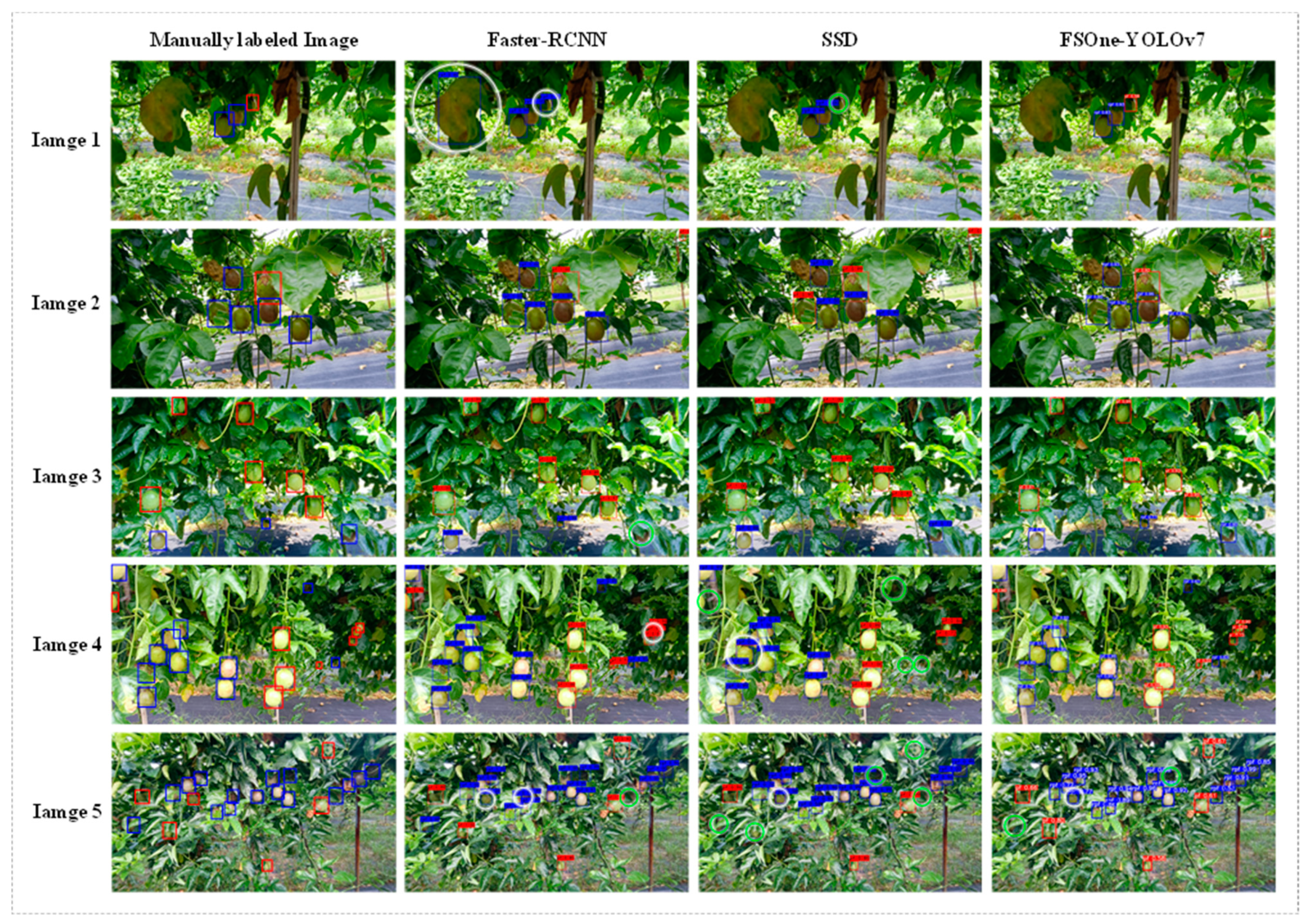 Agronomy 13 01993 g013 Agronomy 13 01993 g013