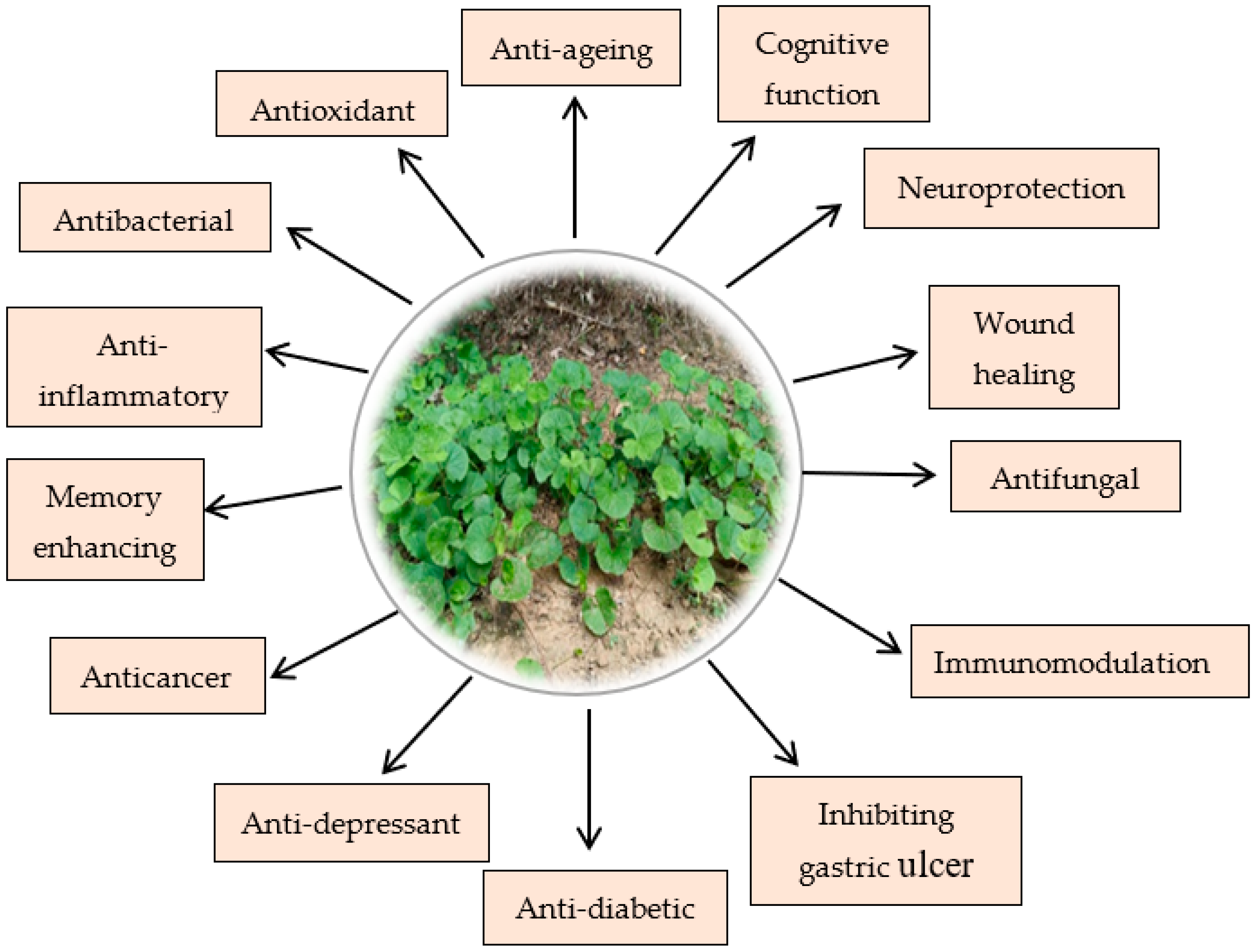 Agronomy 13 01999 g002 Agronomy 13 01999 g002