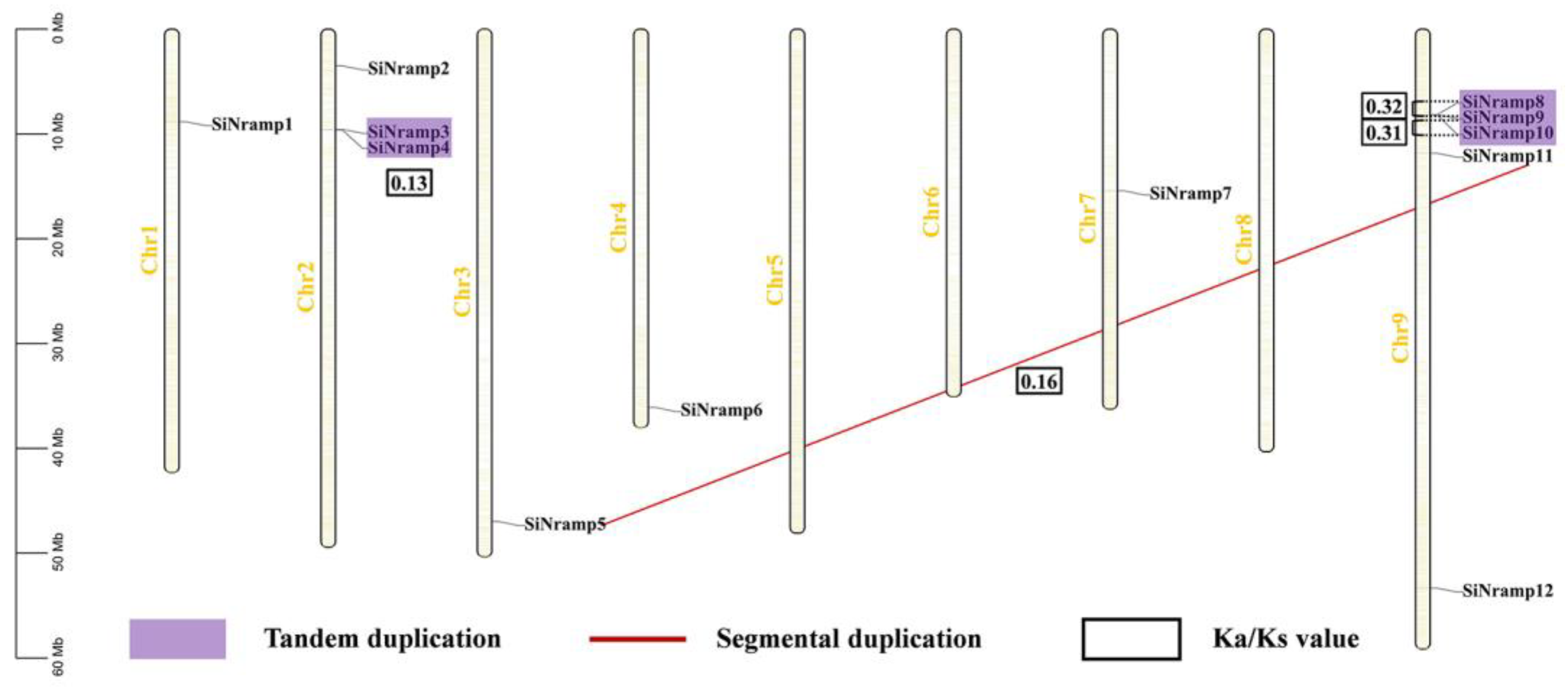 Agronomy 13 02000 g001