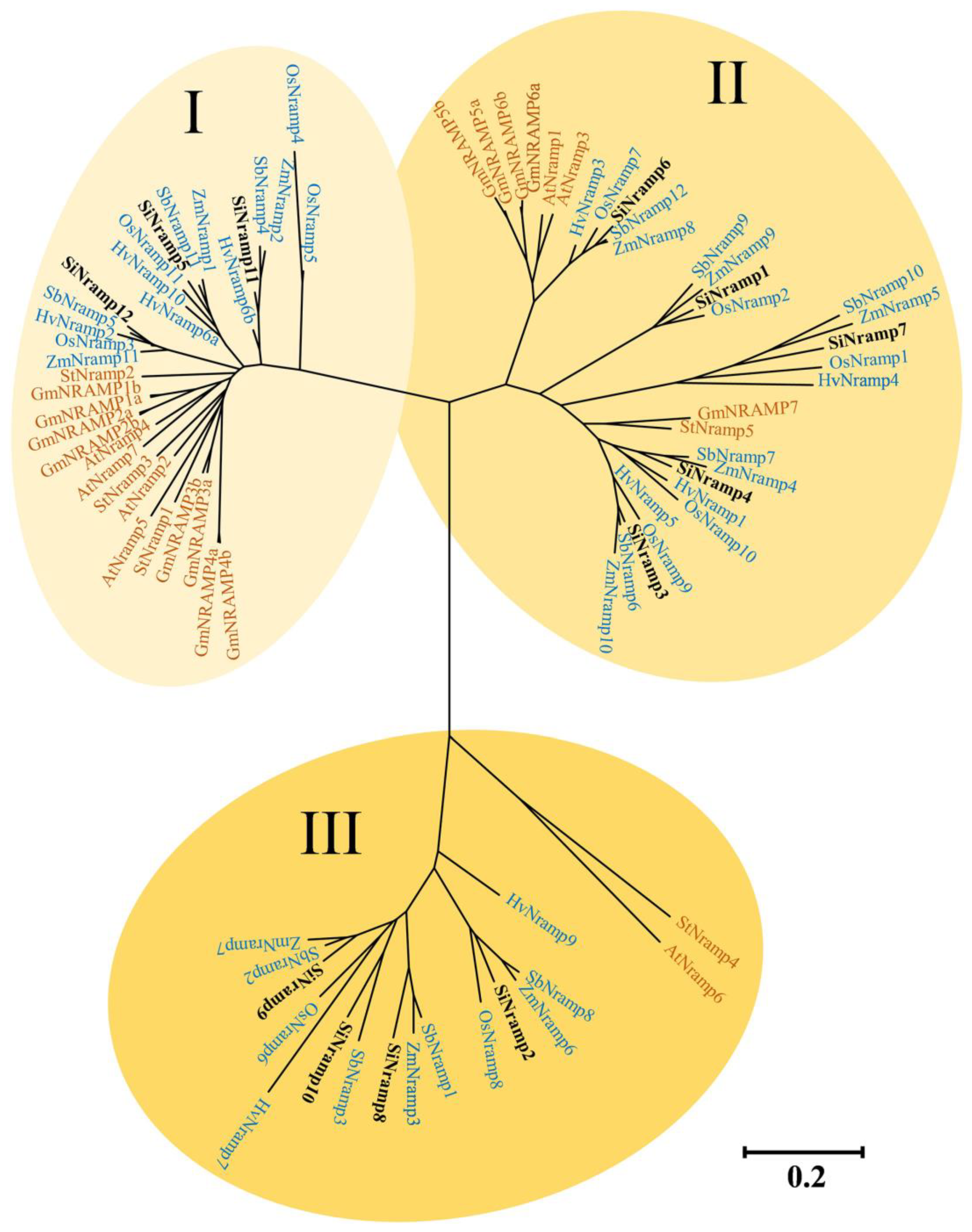Agronomy 13 02000 g002