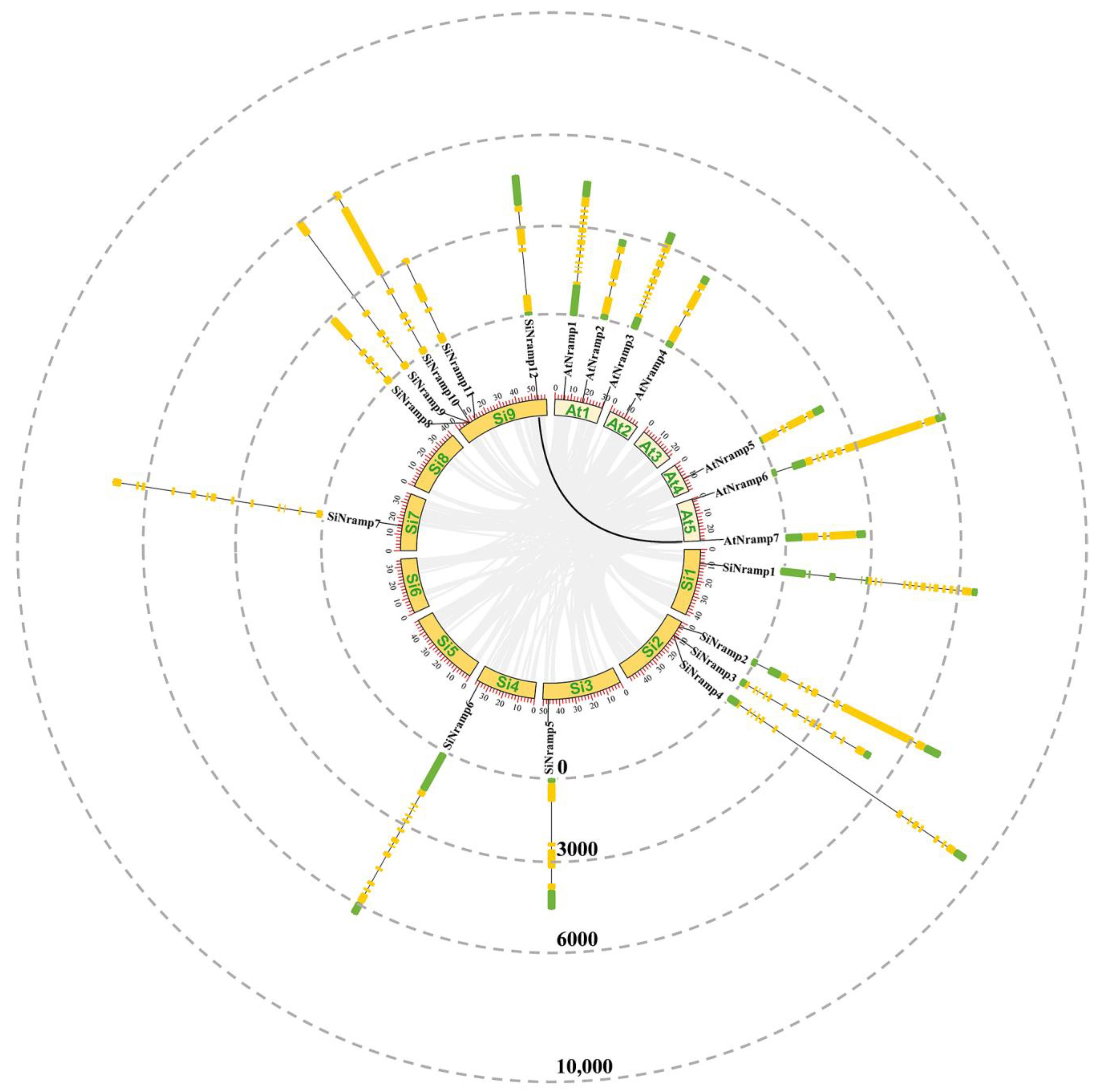 Agronomy 13 02000 g003