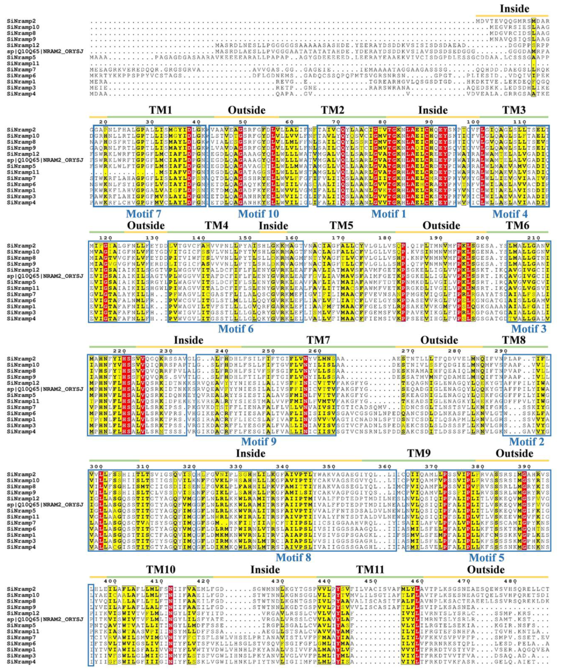 Agronomy 13 02000 g005