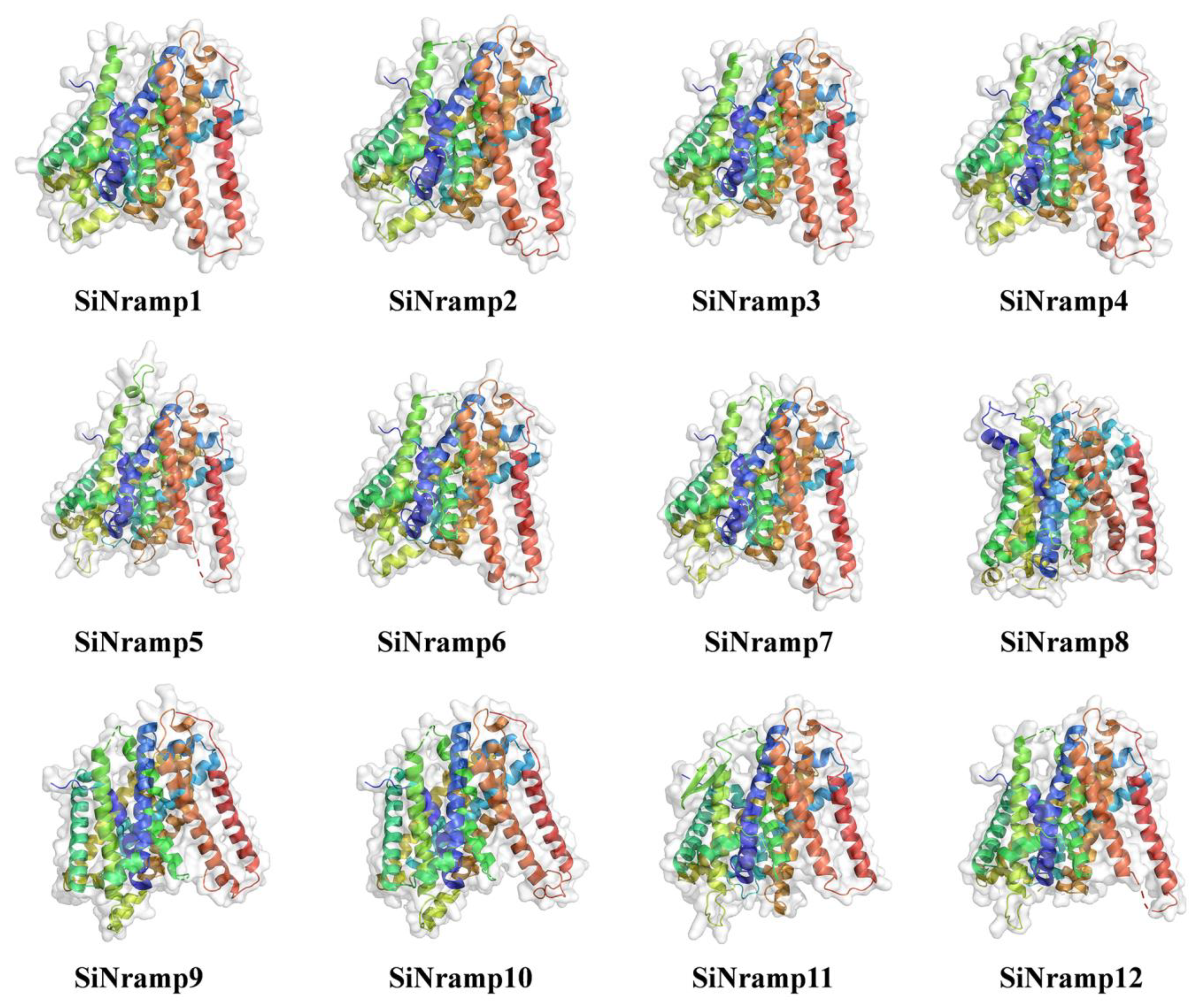 Agronomy 13 02000 g006