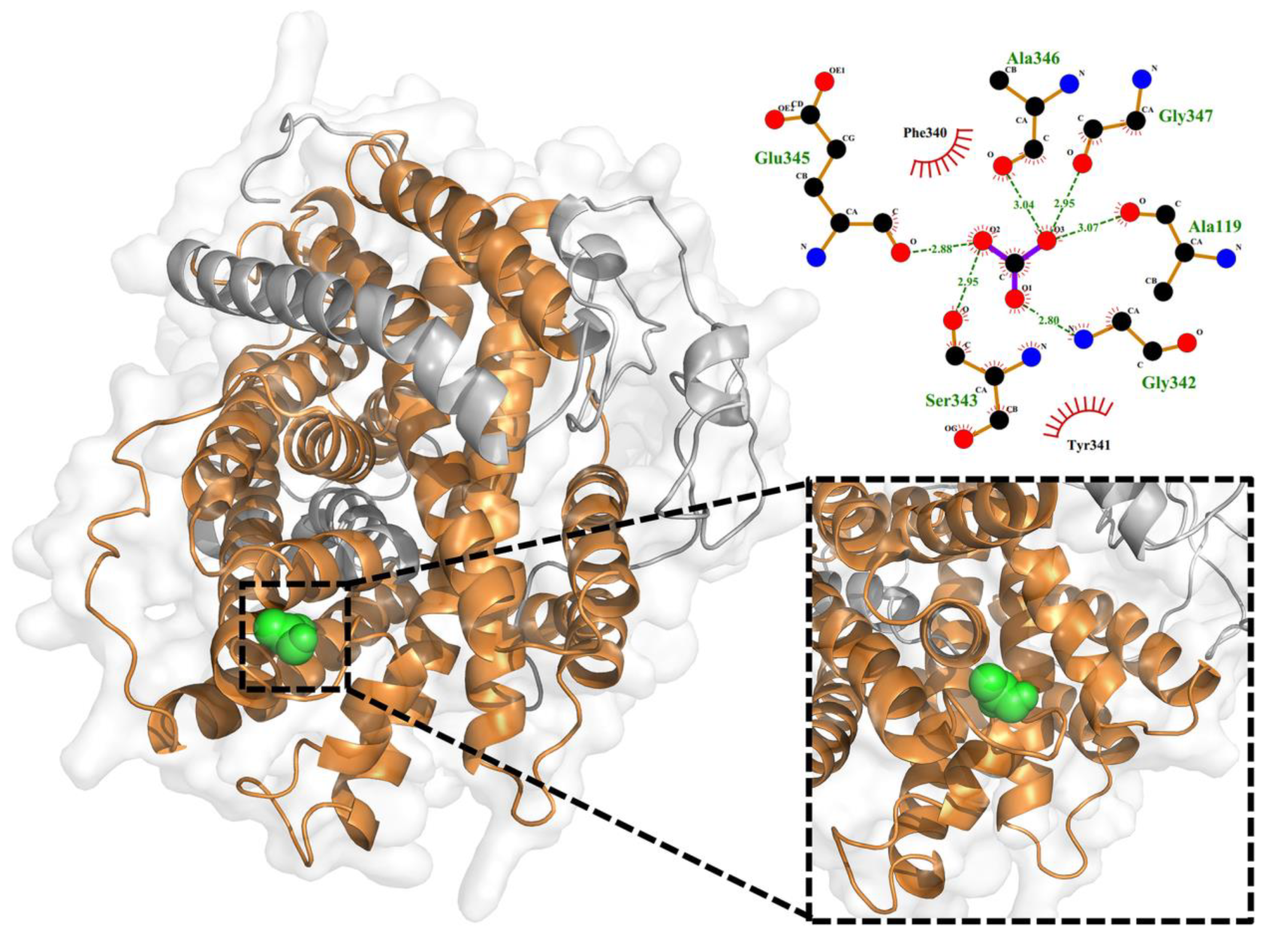 Agronomy 13 02000 g007