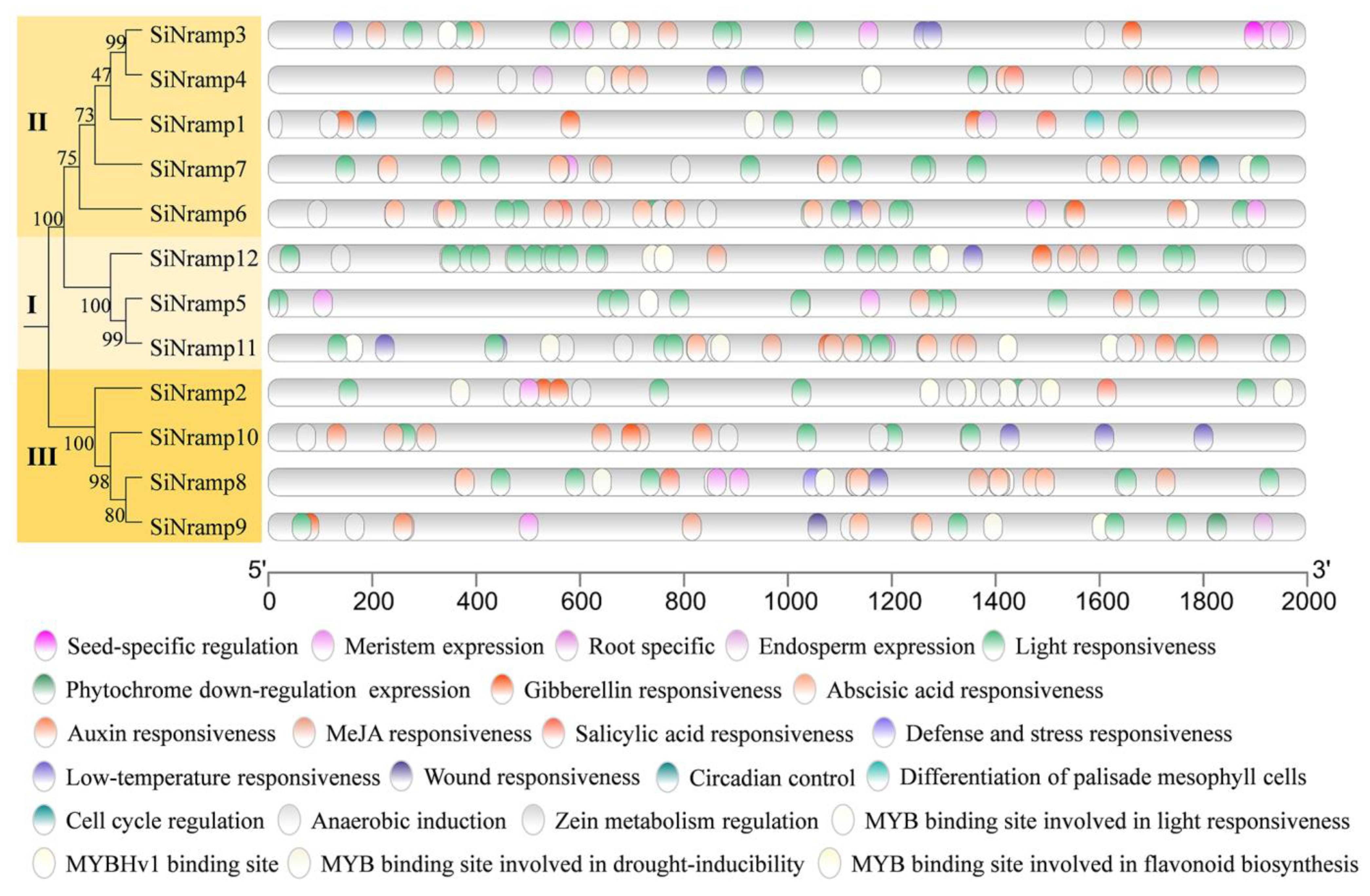 Agronomy 13 02000 g008