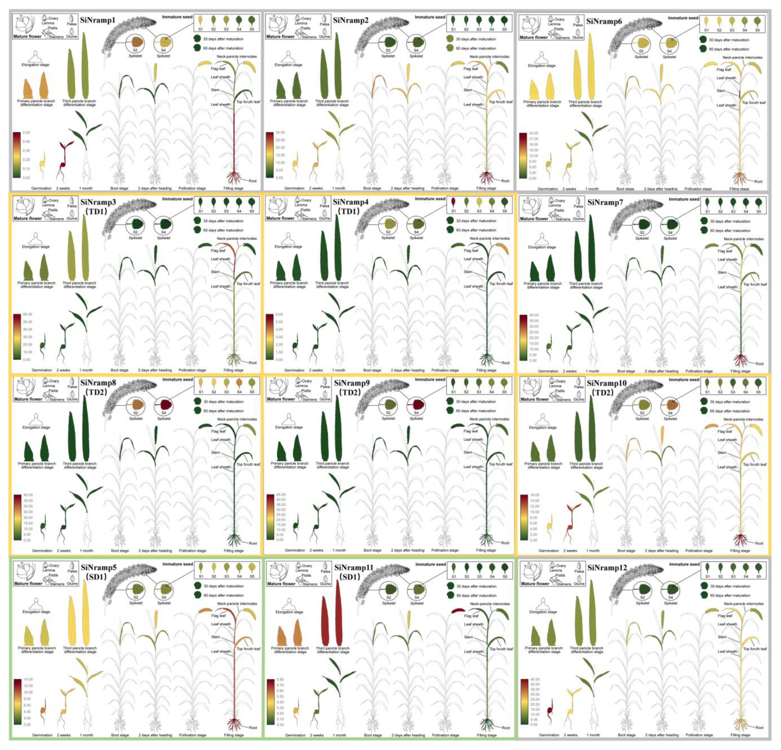 Agronomy 13 02000 g009