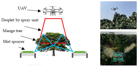 Agronomy 13 02007 g001 550